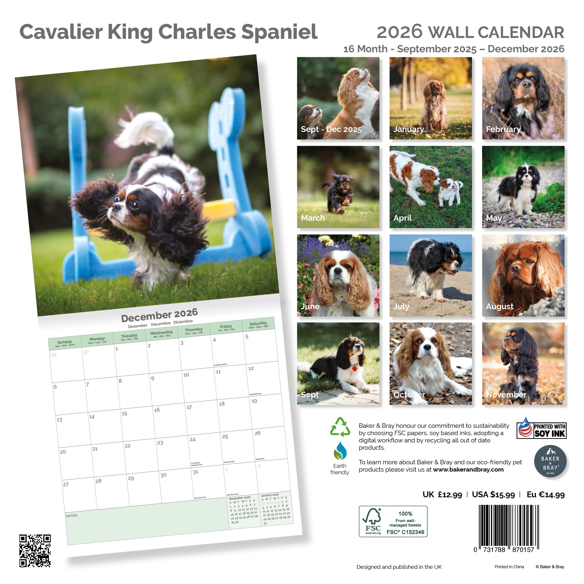 Cavalier King Charles Calendar 2026