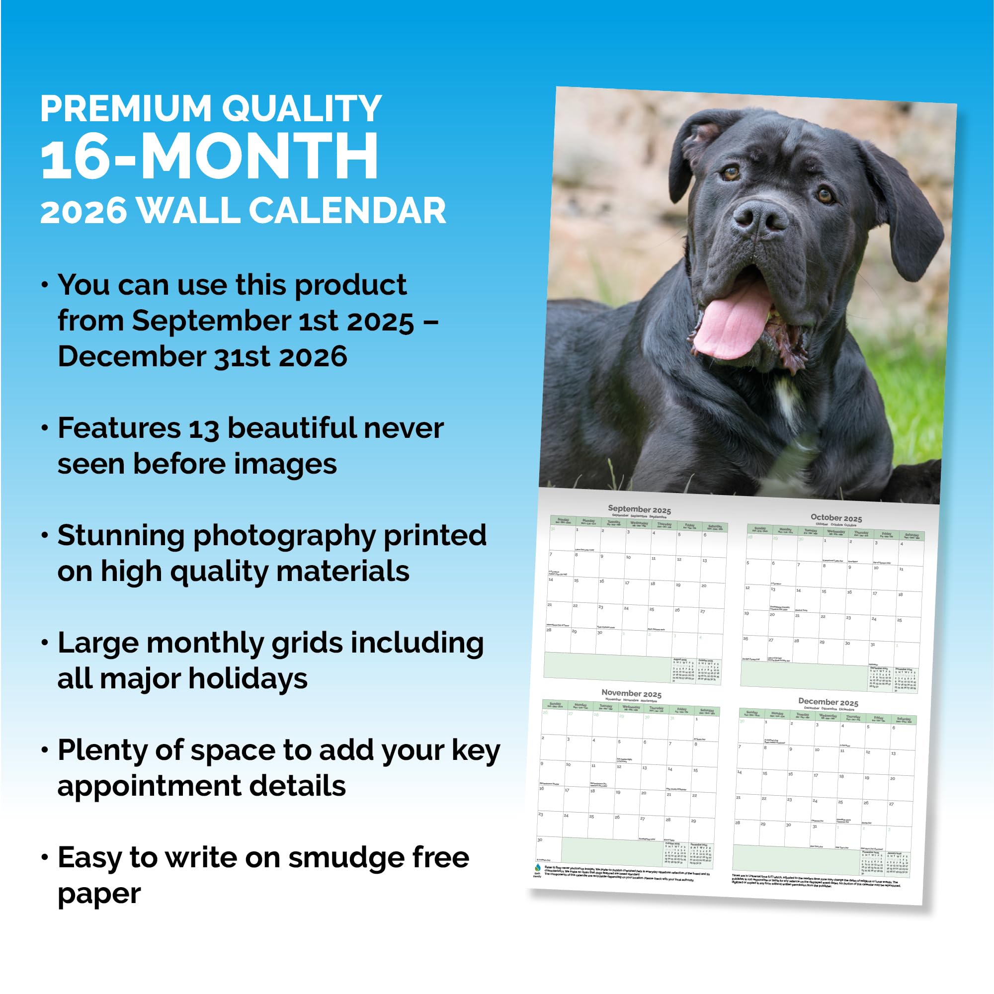 Cane Corso Calendar 2026