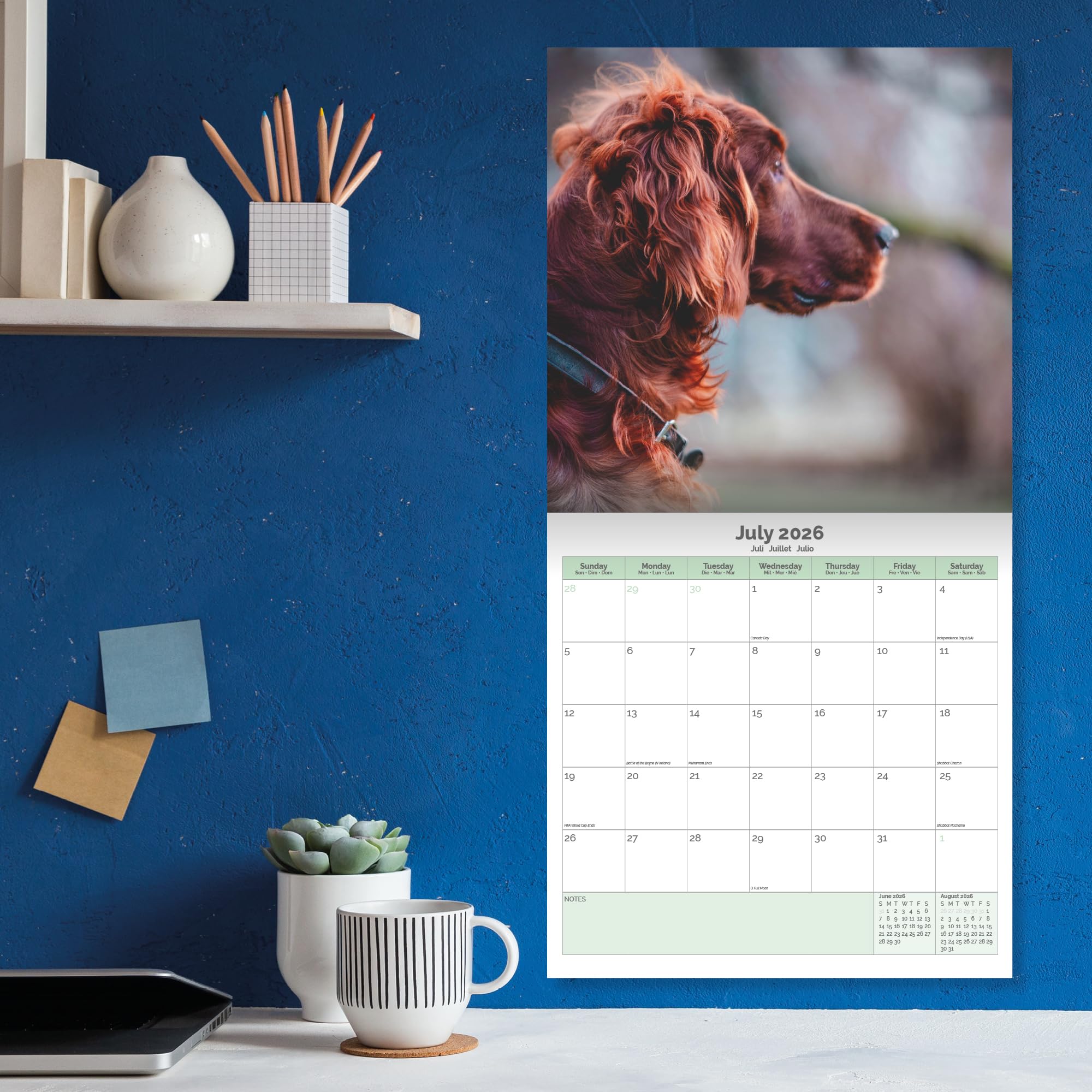 Irish Setter Calendar 2026