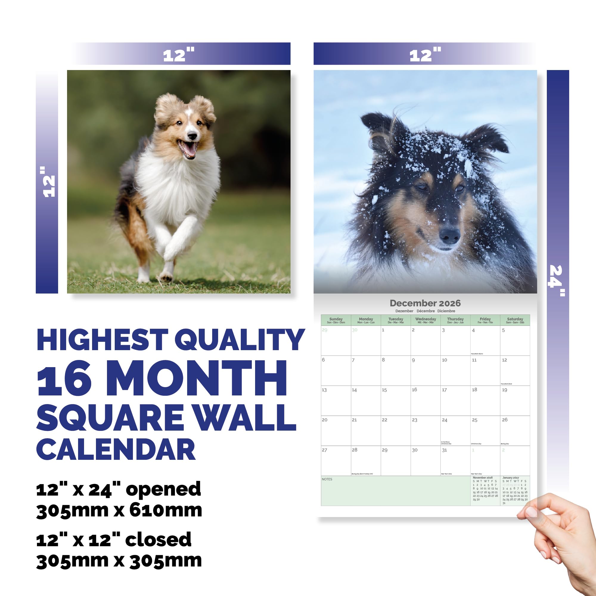 Shetland Sheepdog Calendar 2026