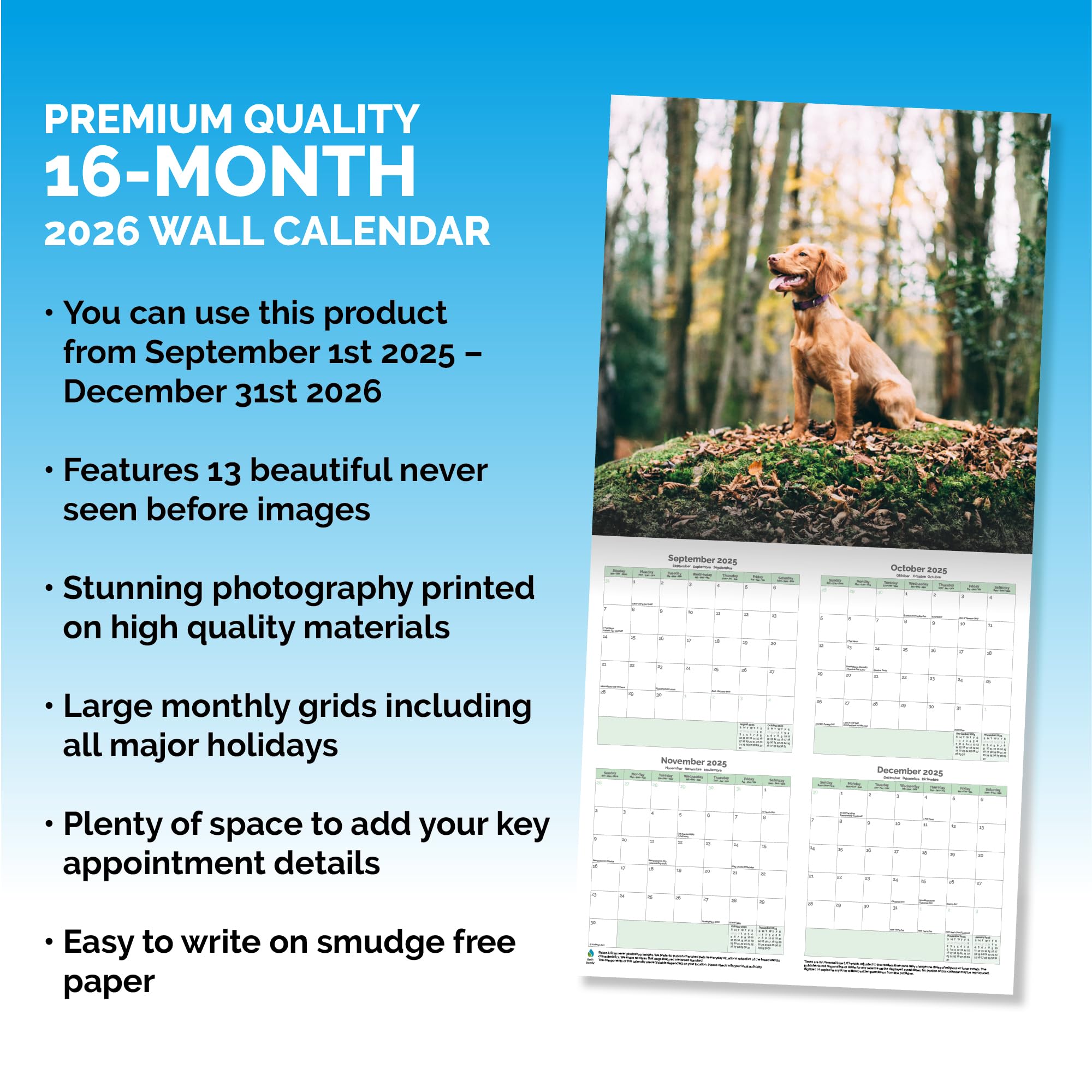 Cocker Spaniel Calendar 2026