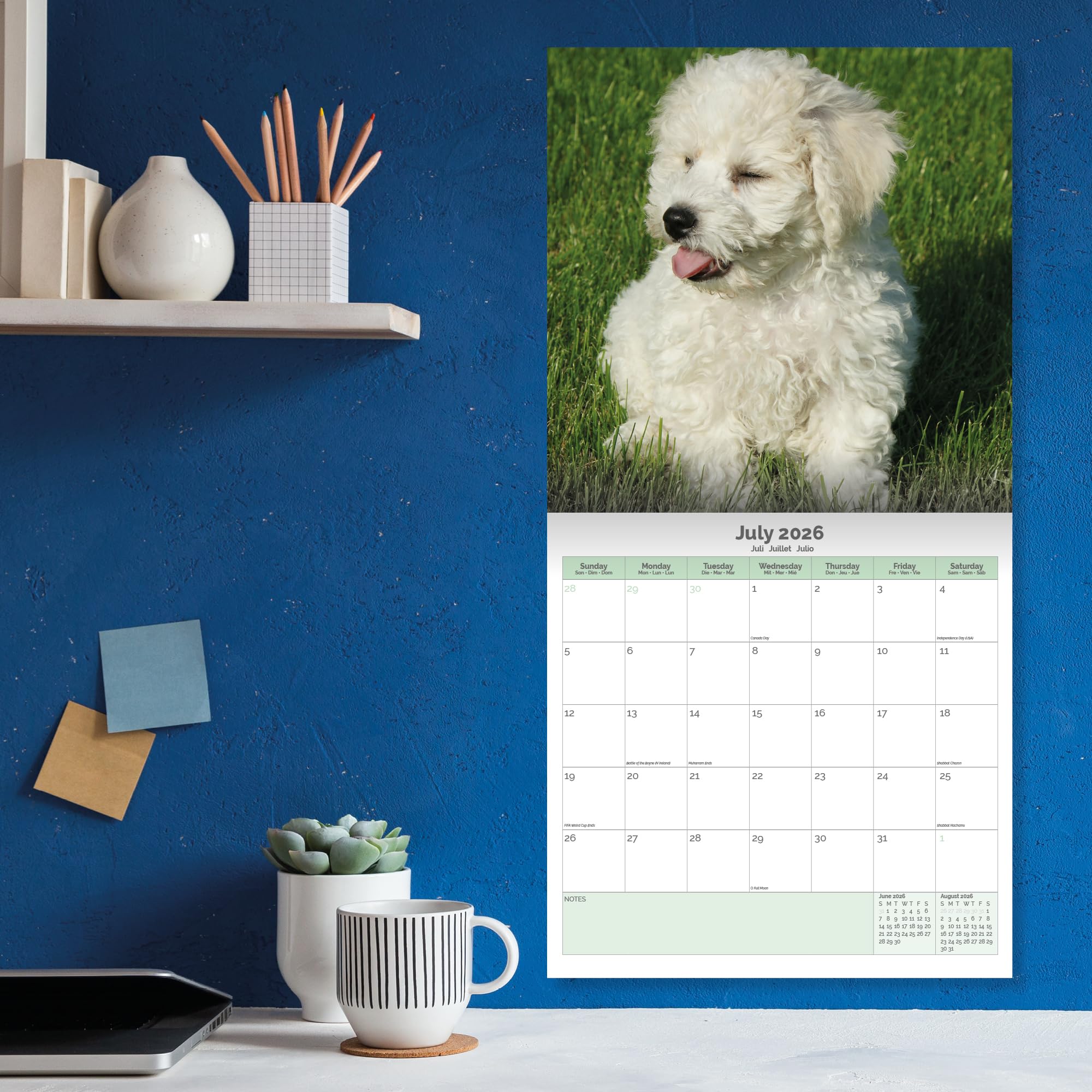 Bichon Frise Calendar 2026