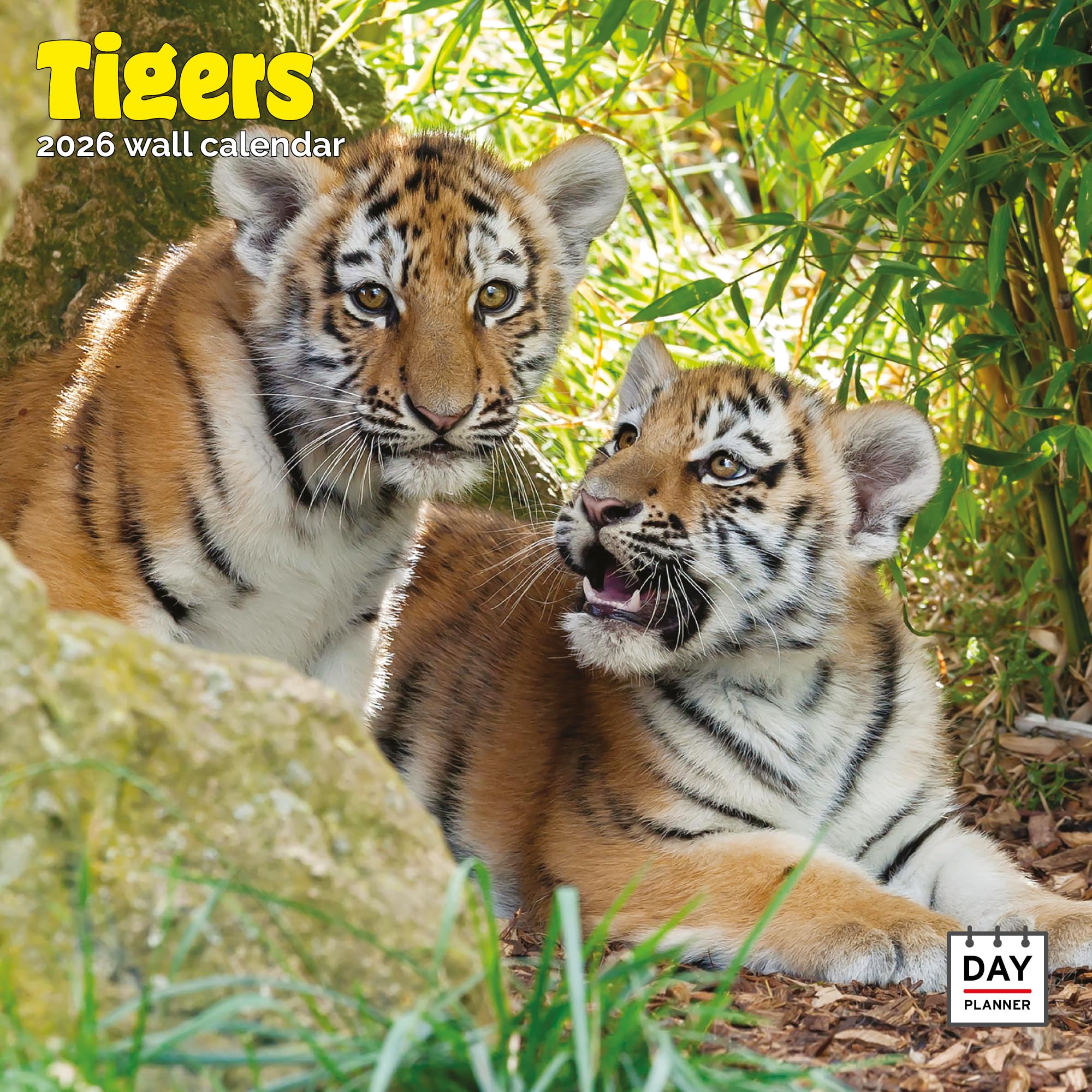 Tigers Calendar 2026