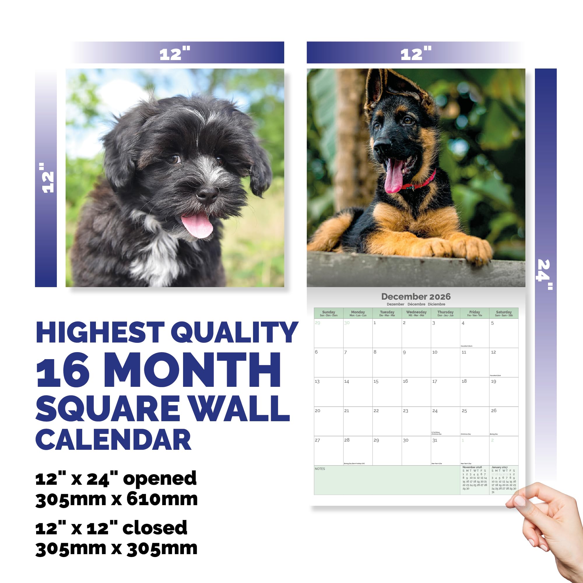 Puppies Calendar 2026