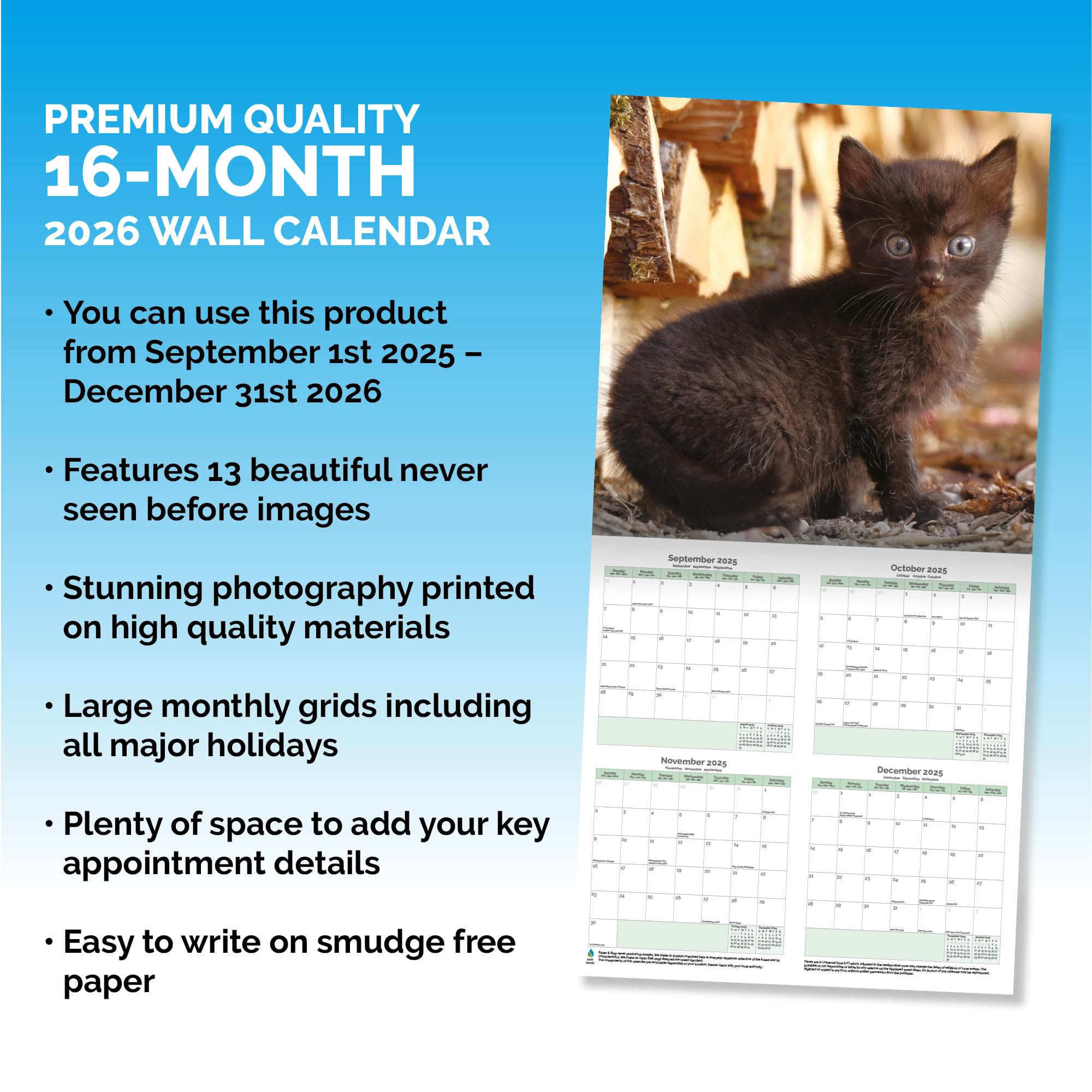 Black Cat Kittens Calendar 2026