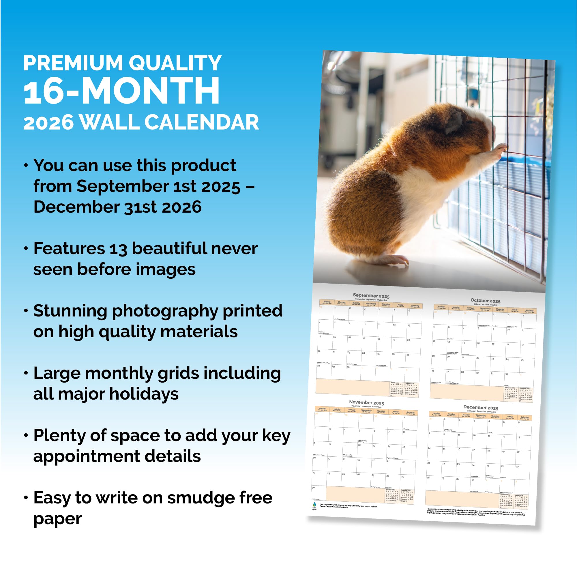 Guinea Pig Calendar 2026