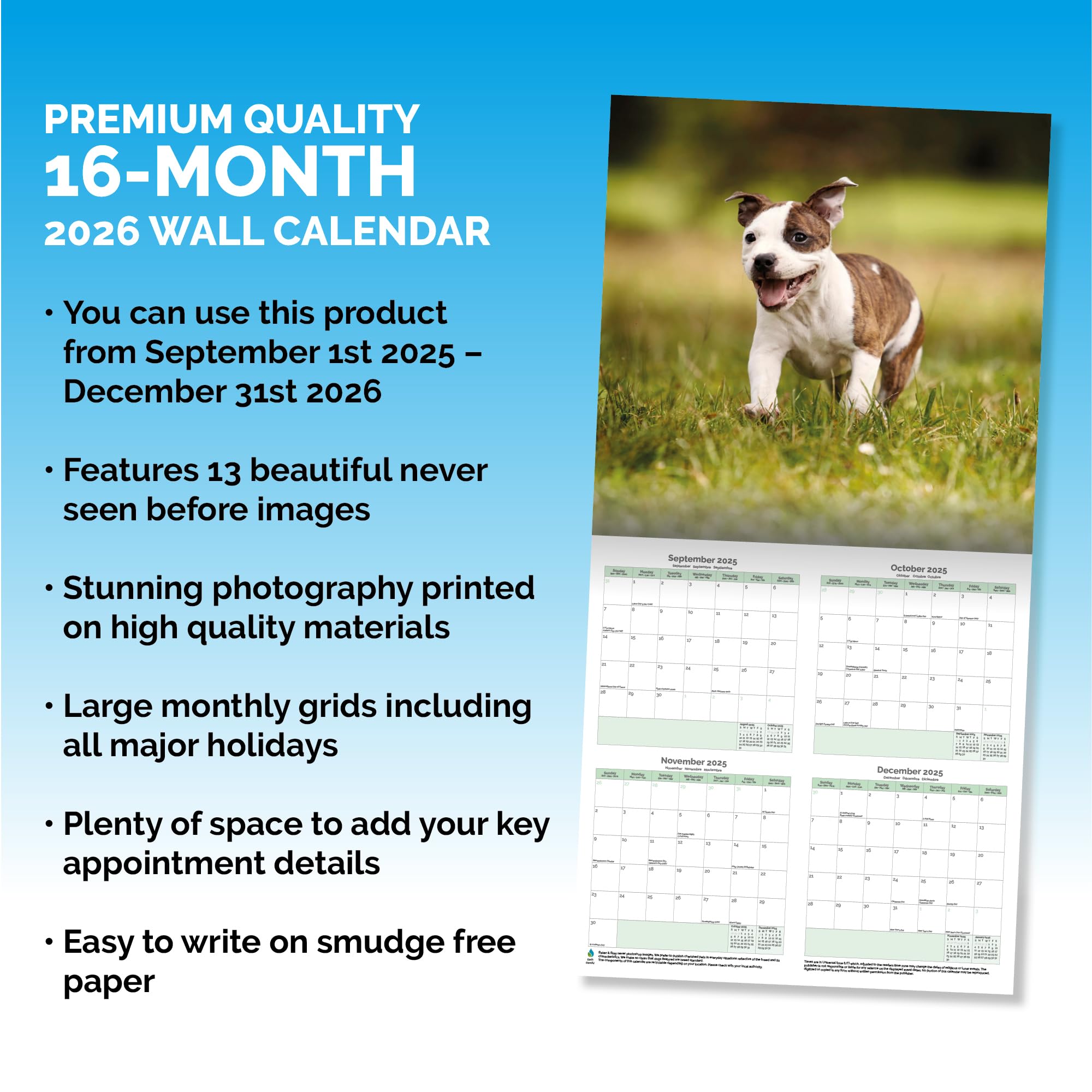 Staffordshire Bull Terrier Calendar 2026