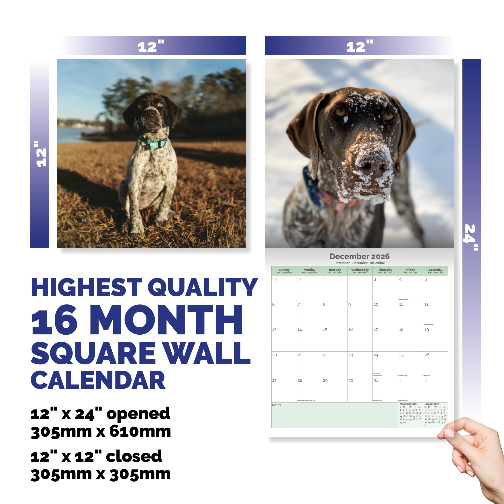German Shorthaired Pointer Calendar 2026