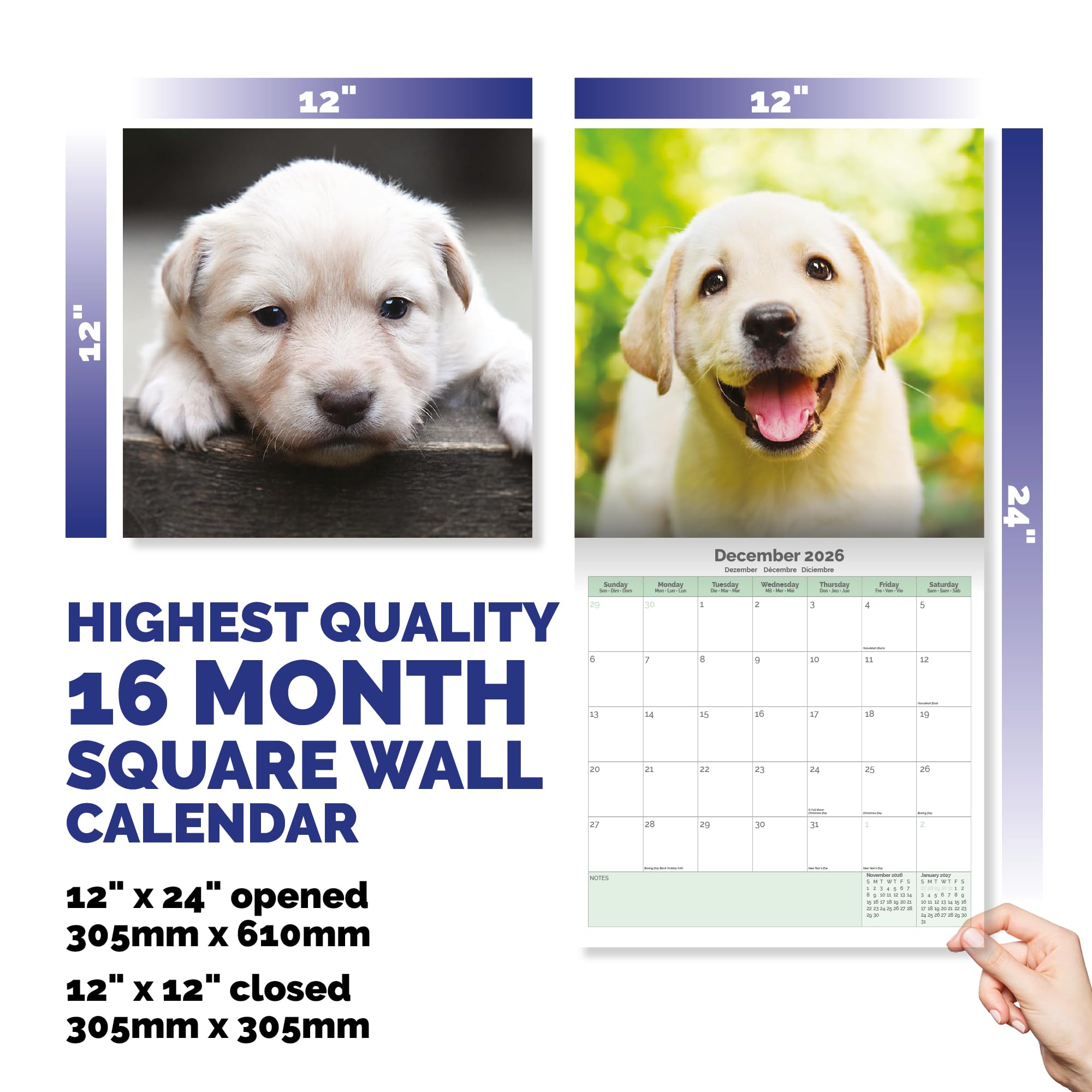 Labrador Puppies Calendar 2026