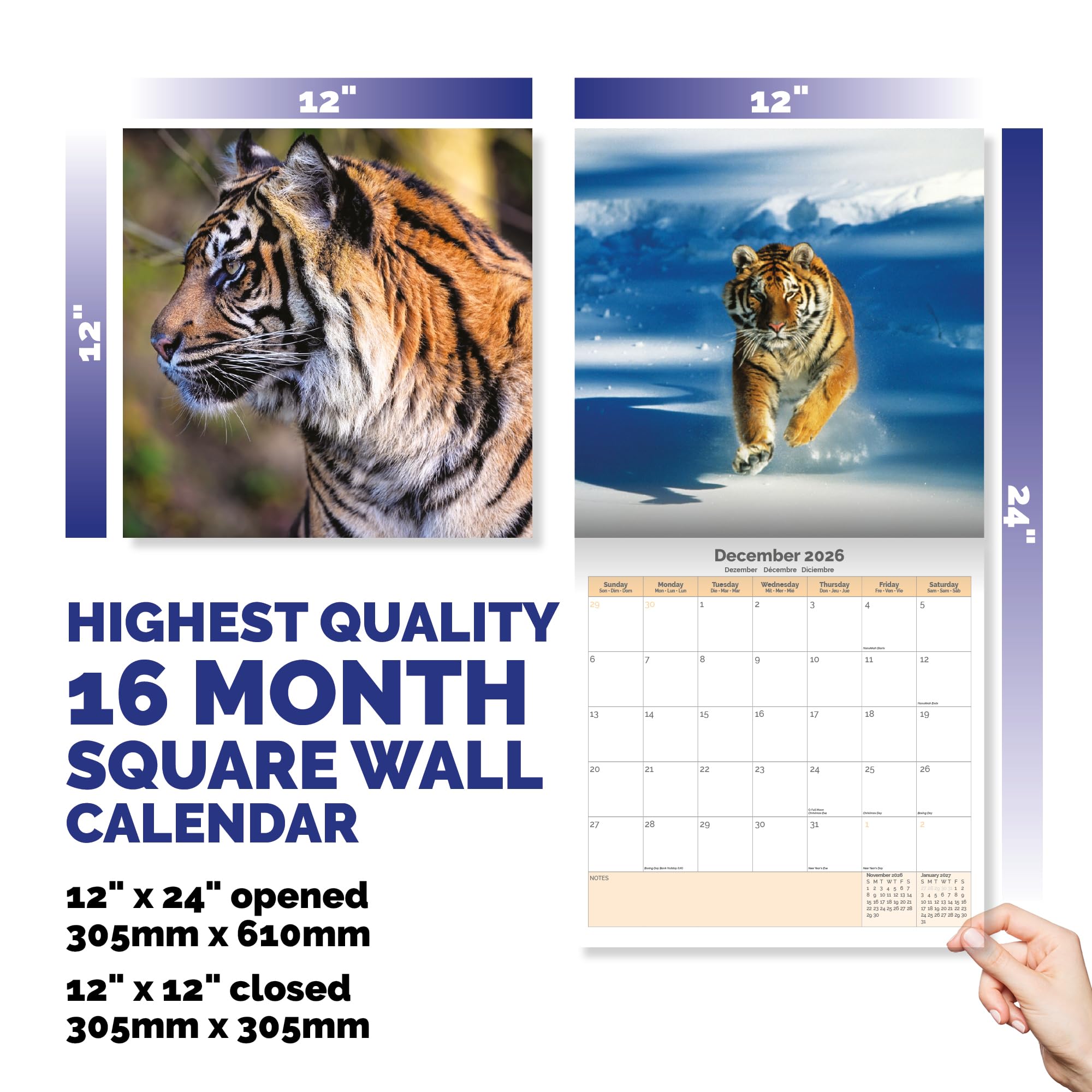 Tigers Calendar 2026