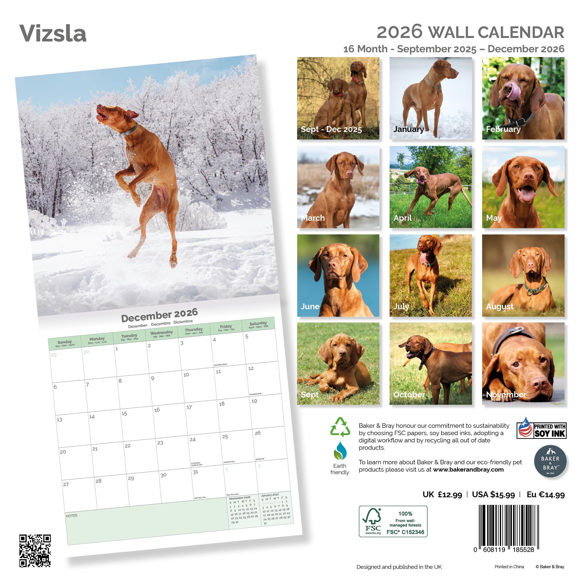 Vizsla Calendar 2026
