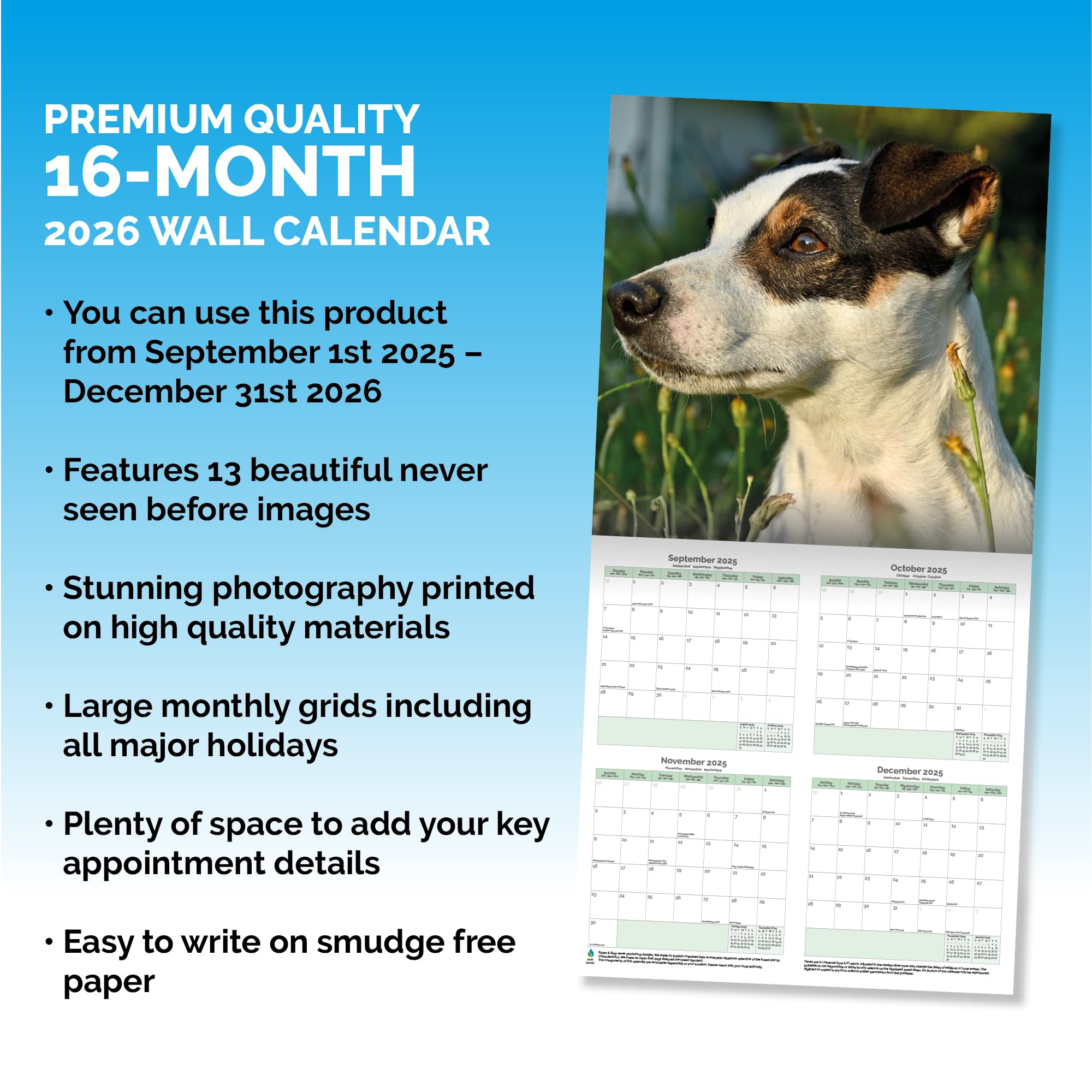 Jack Russell Calendar 2026
