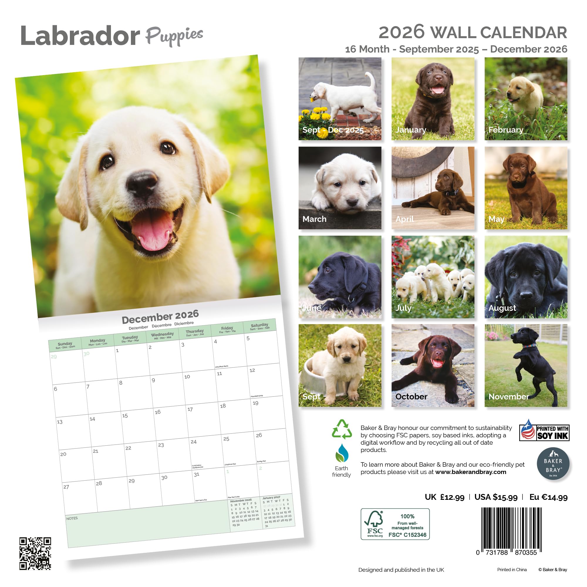 Labrador Puppies Calendar 2026