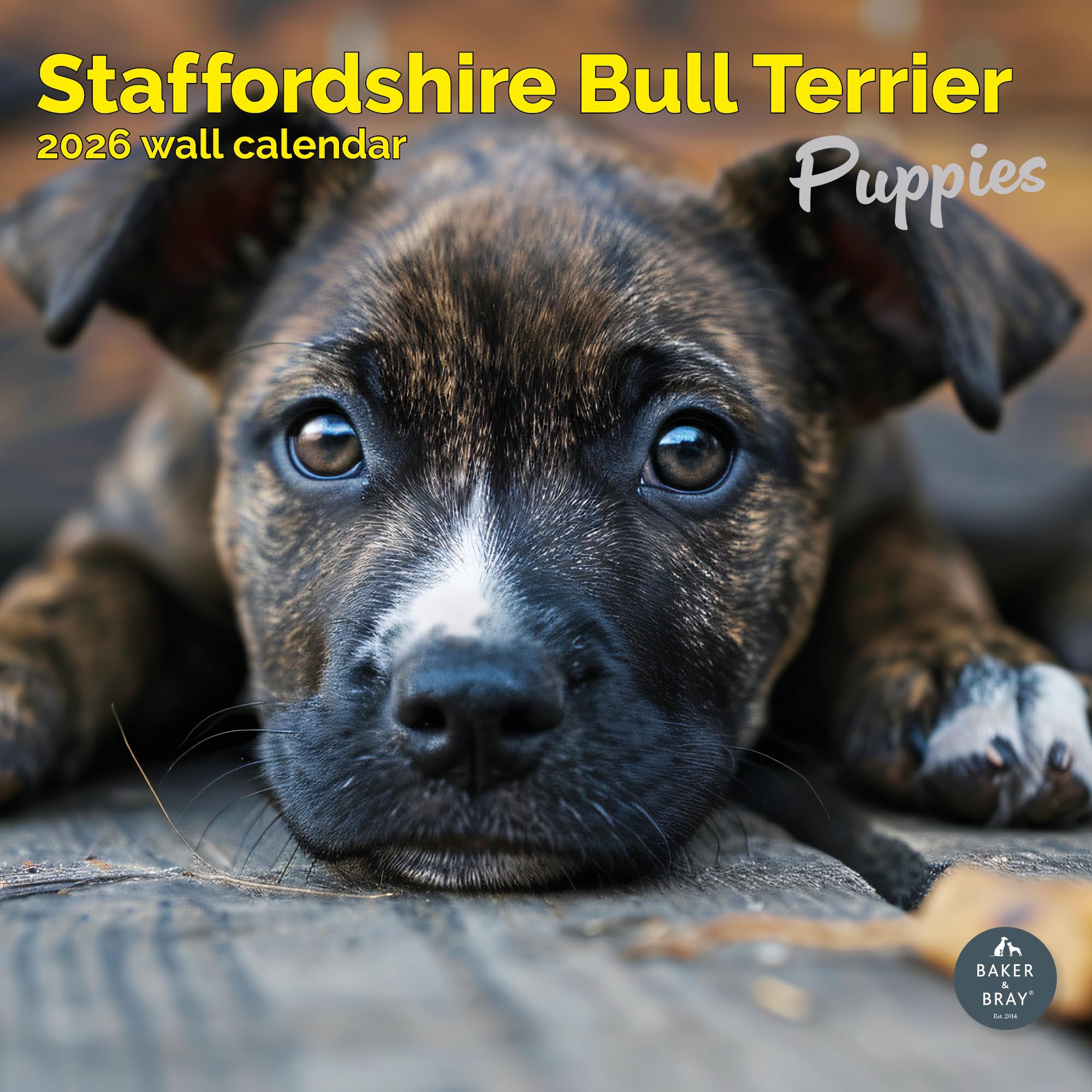 Staffordshire Bull Terrier Puppies Calendar 2026