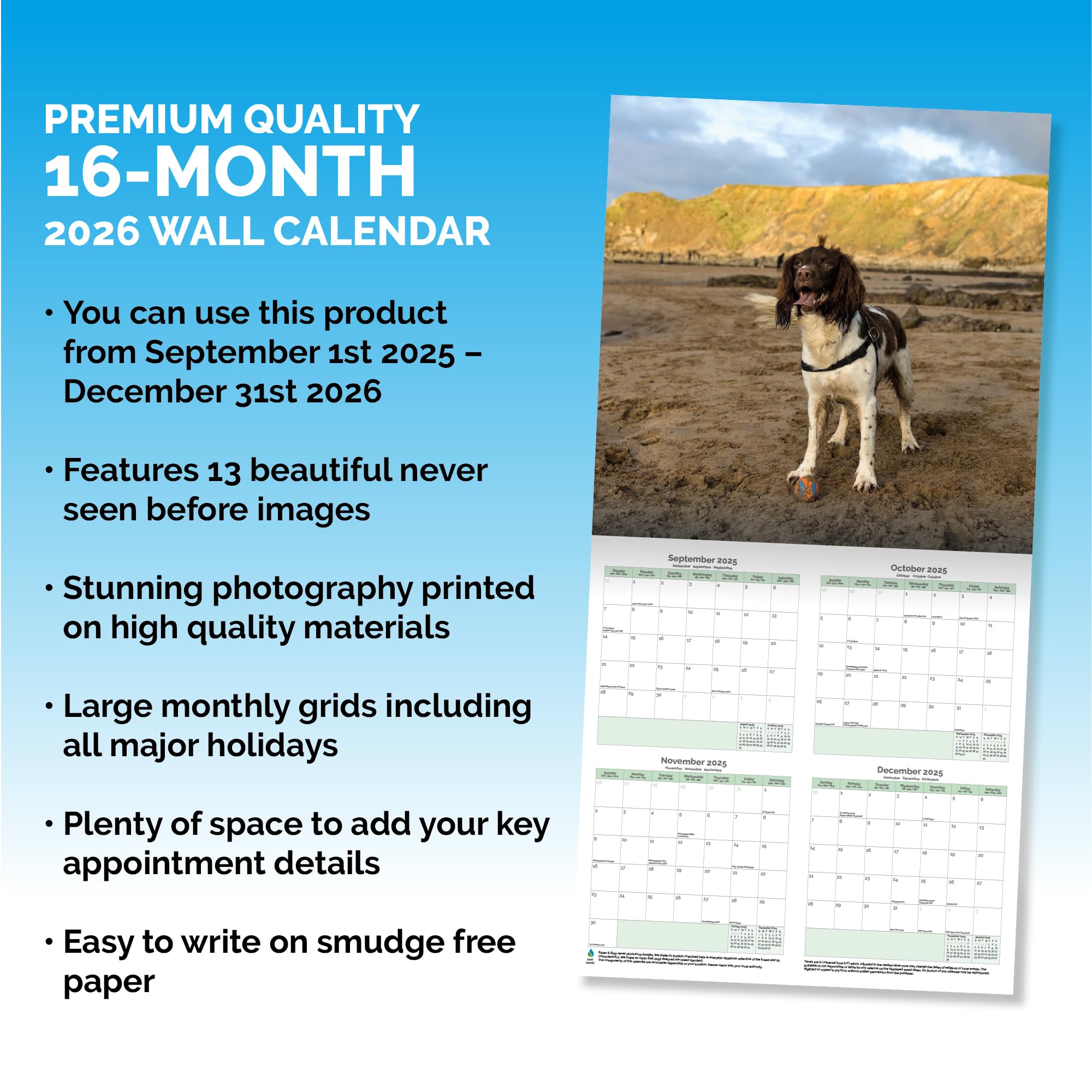 English Springer Spaniel Calendar 2026