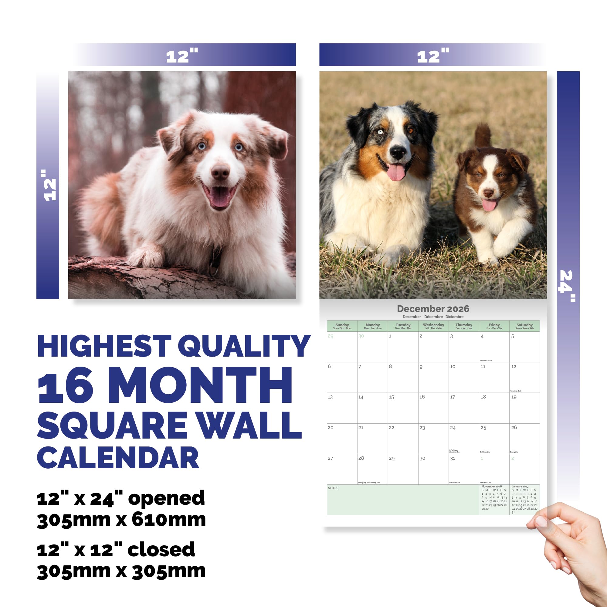 Australian Shepherd Calendar 2026