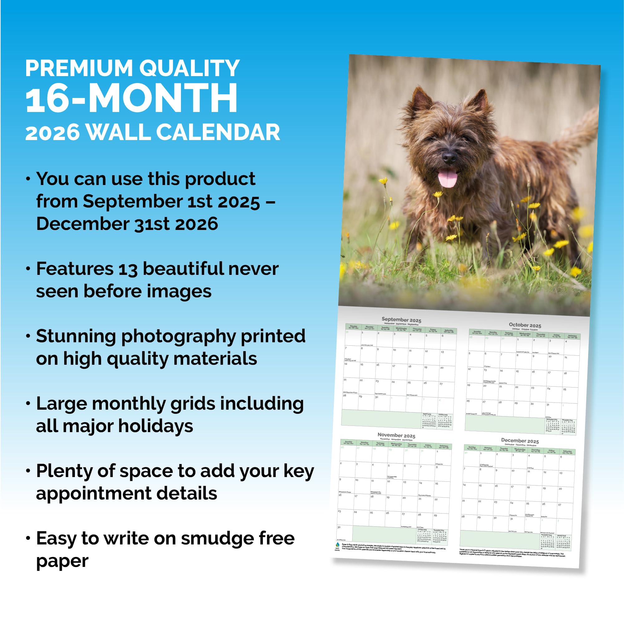 Cairn Terrier Calendar 2026