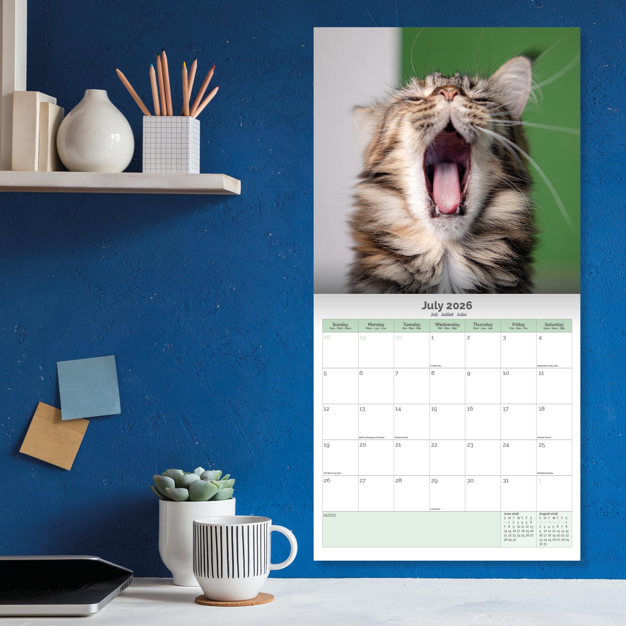 Maine Coon Cats Calendar 2026