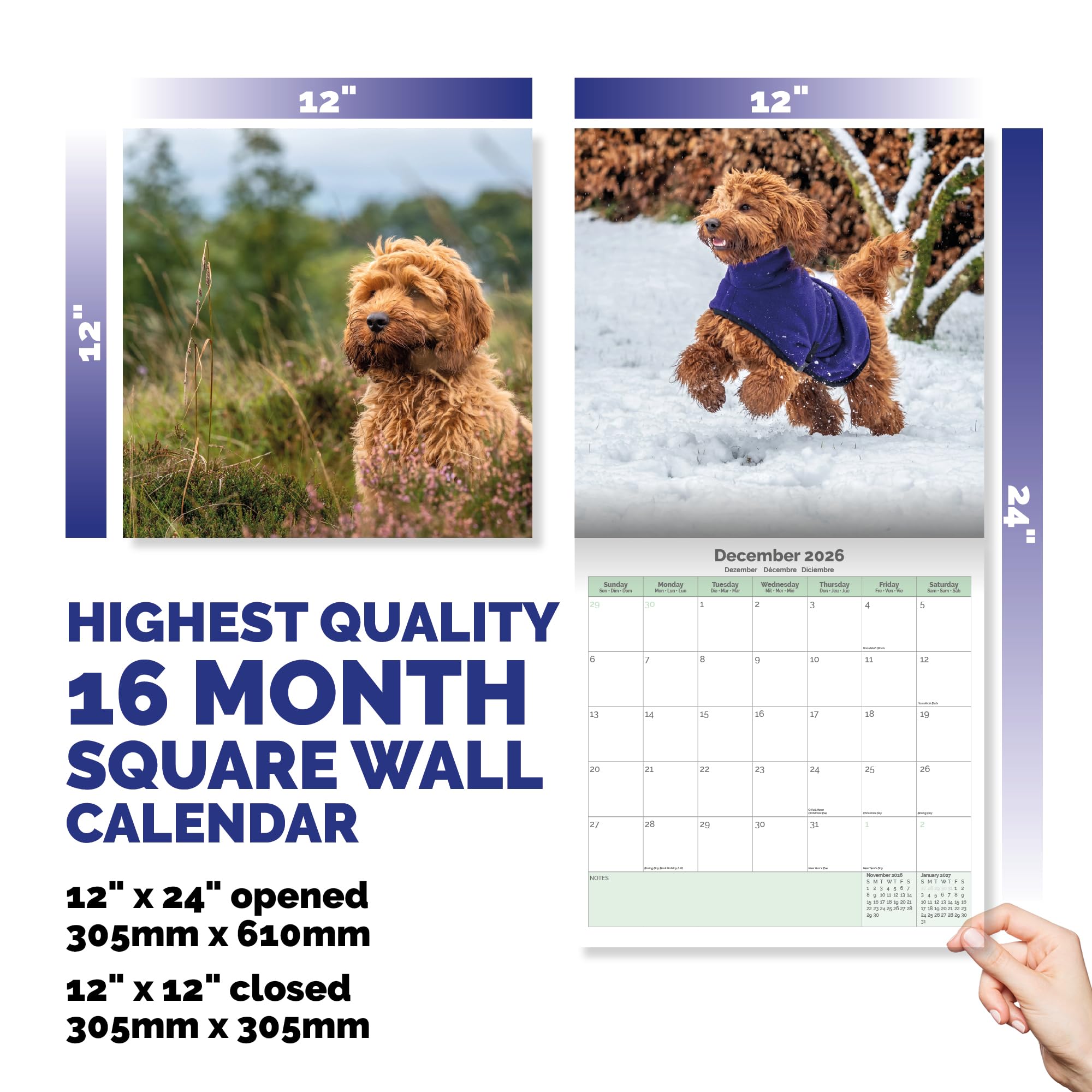 Cockapoo Calendar 2026