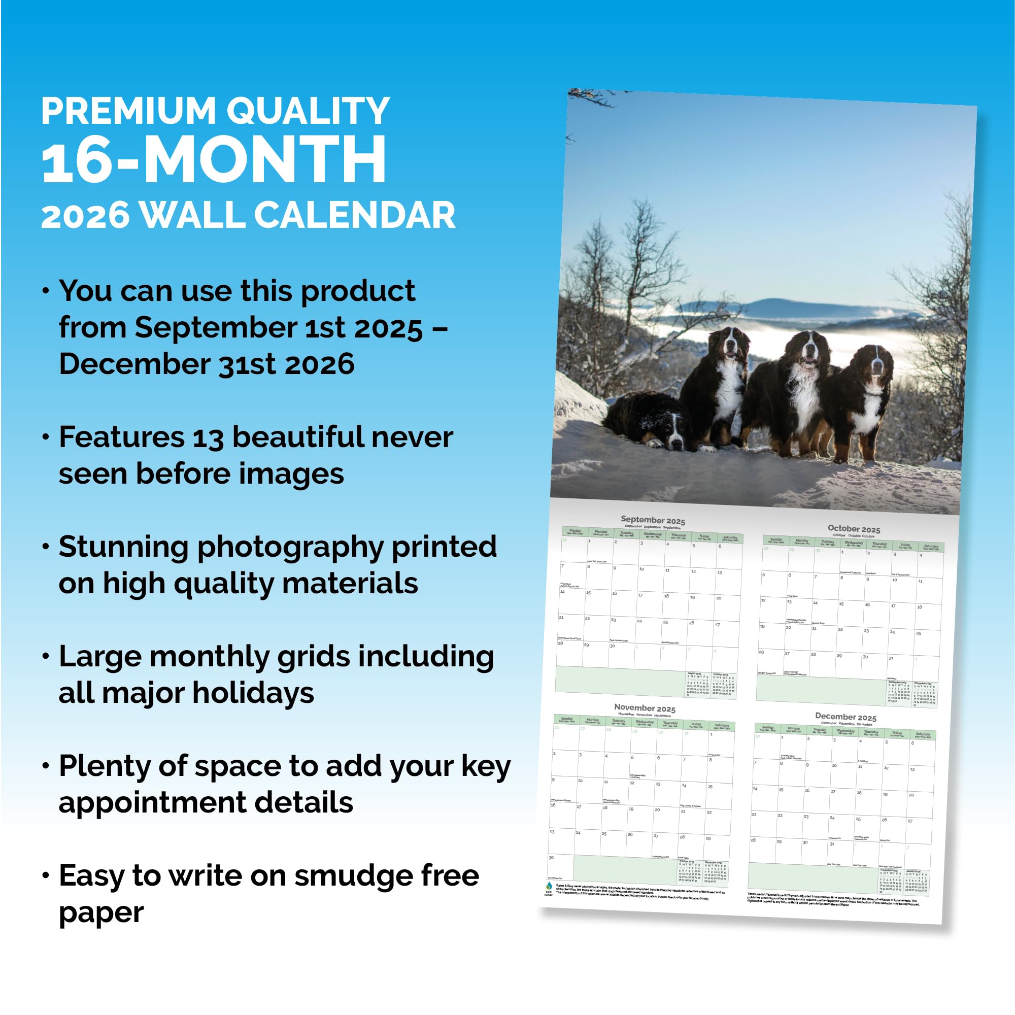 Bernese Mountain Dog Calendar 2026