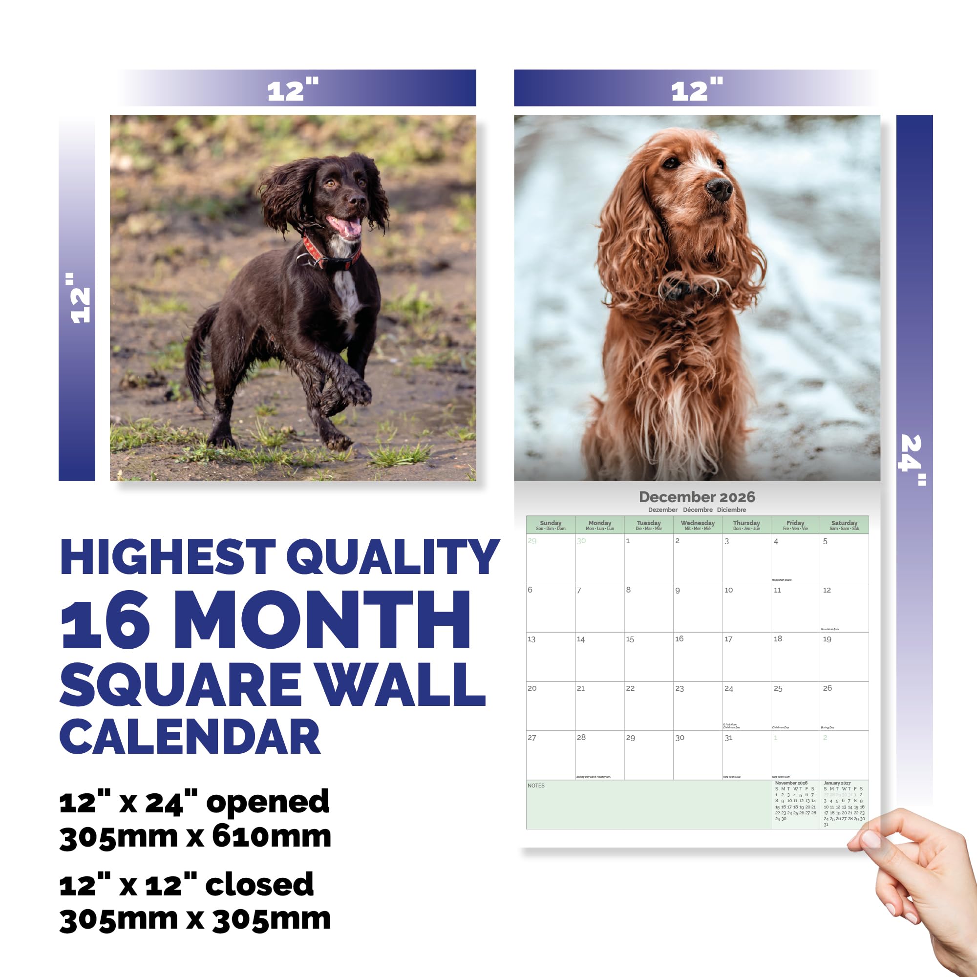 Cocker Spaniel Calendar 2026