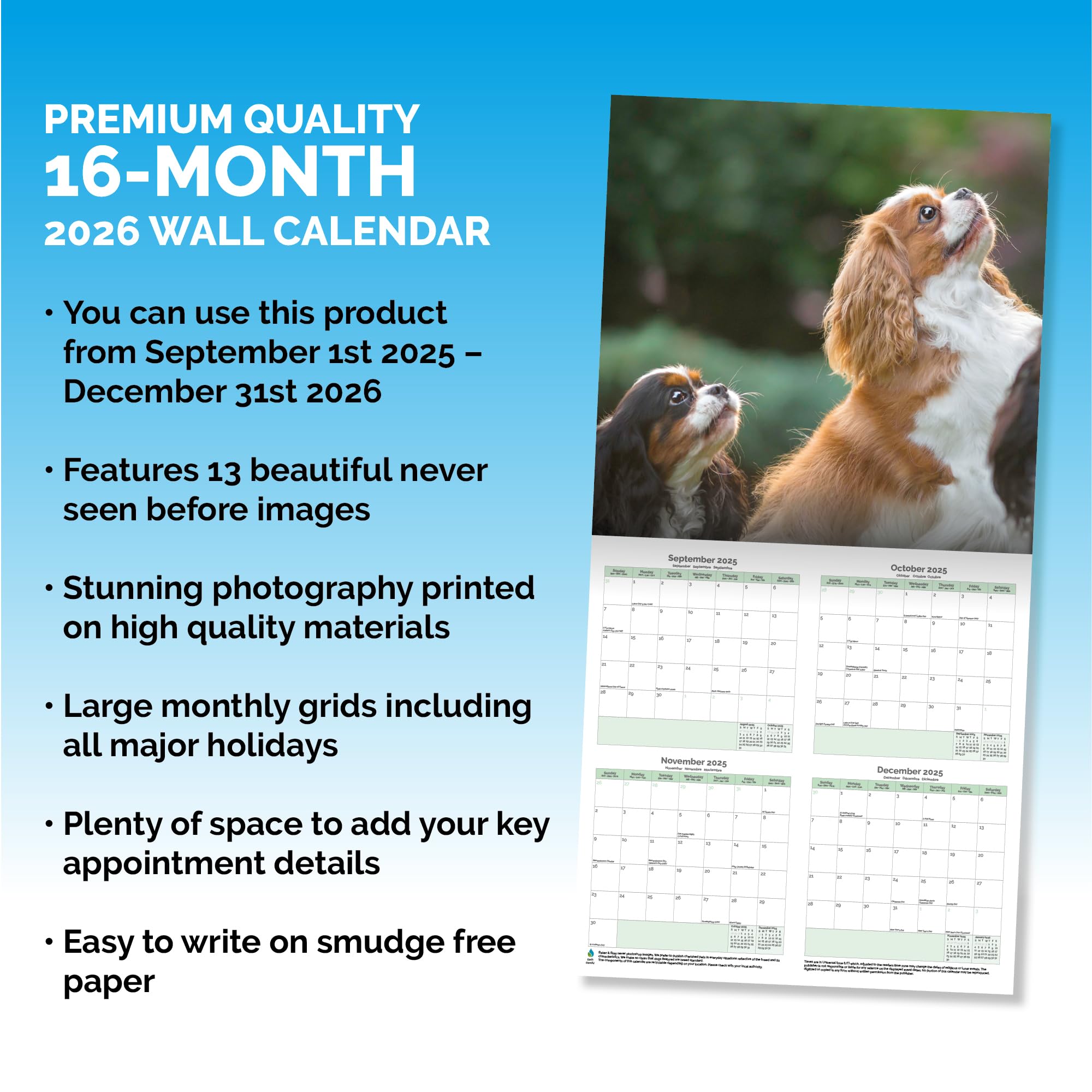 Cavalier King Charles Calendar 2026