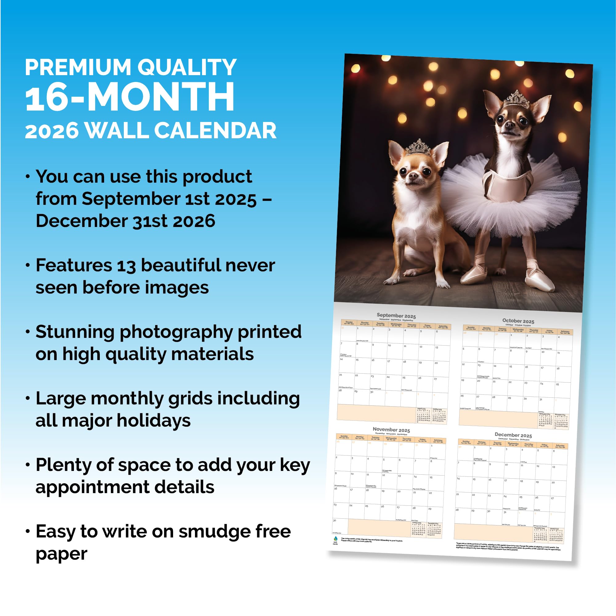 Strictly Dogs Dancing Calendar 2026