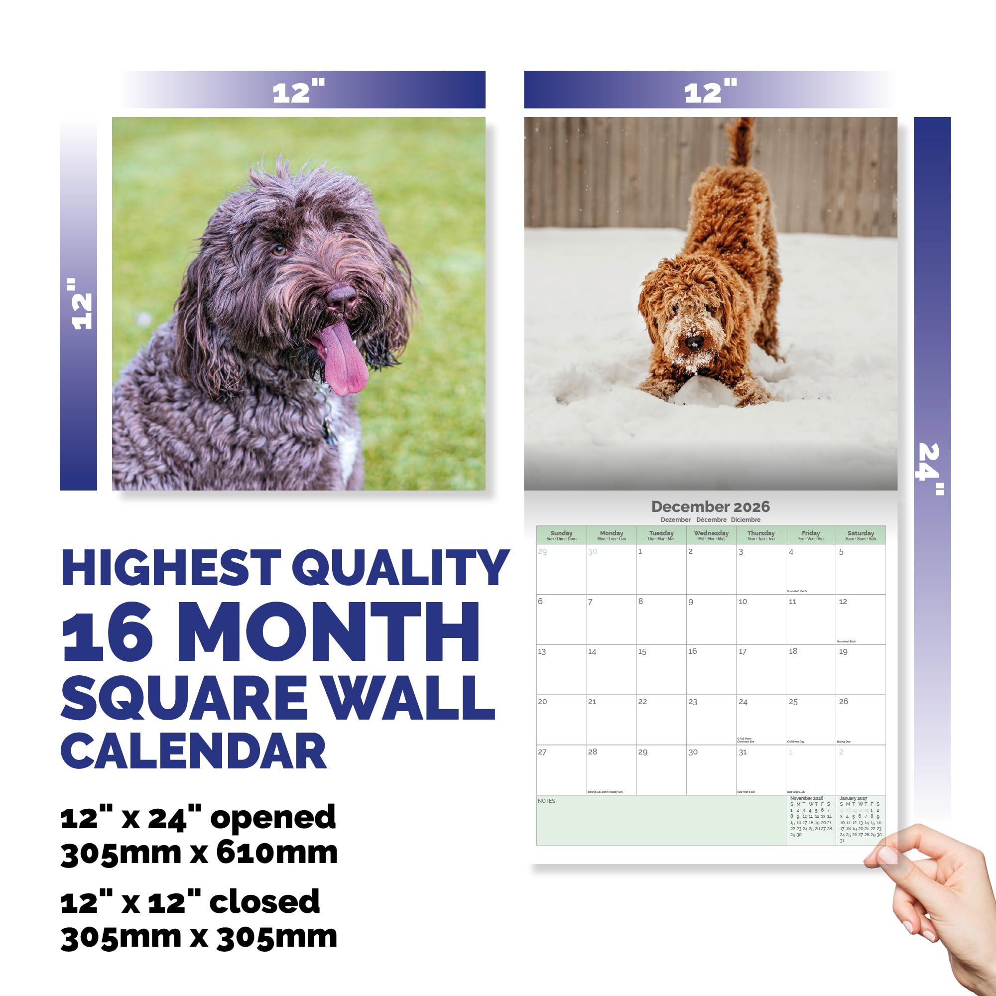 Labradoodle Calendar 2026