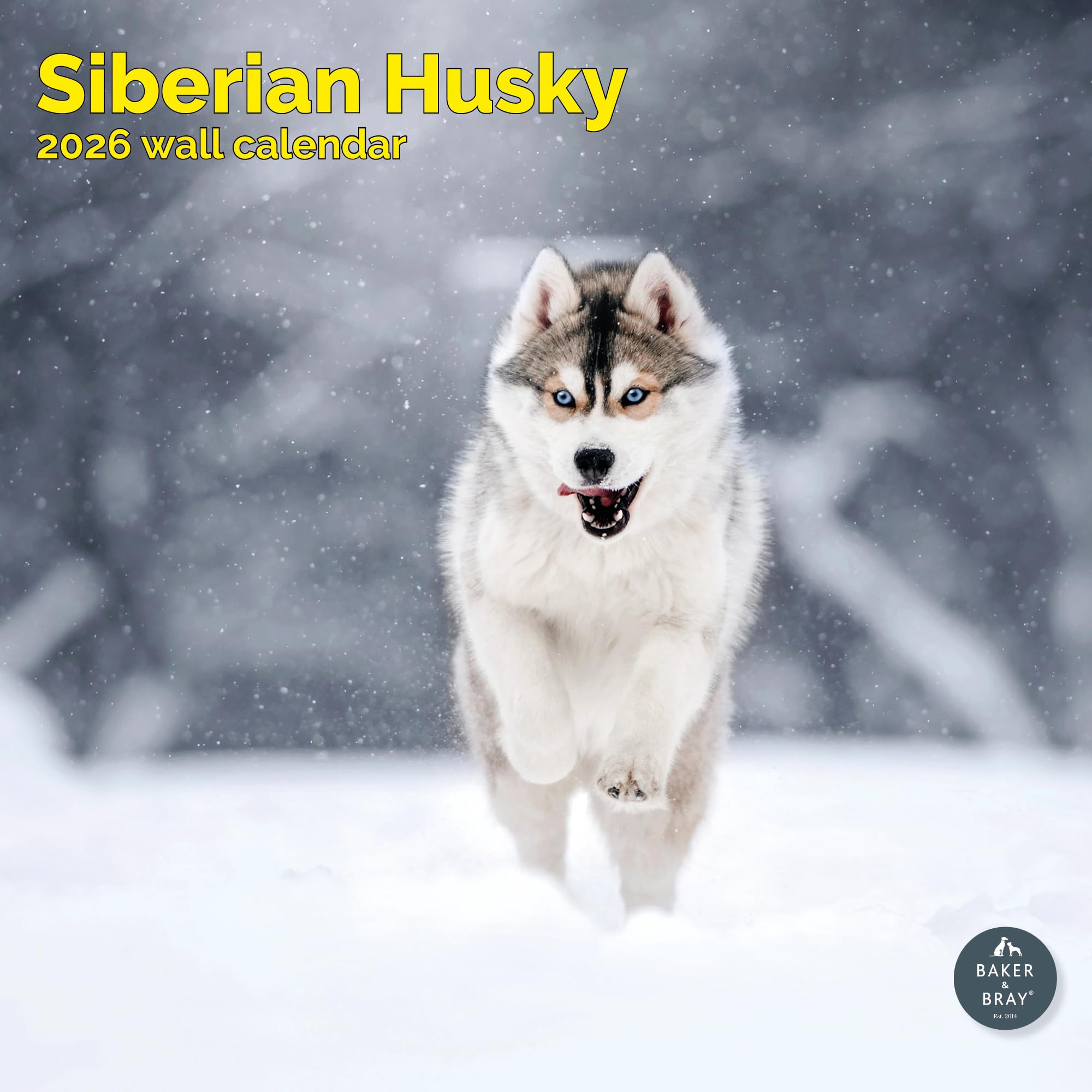 Siberian Husky Calendar 2026