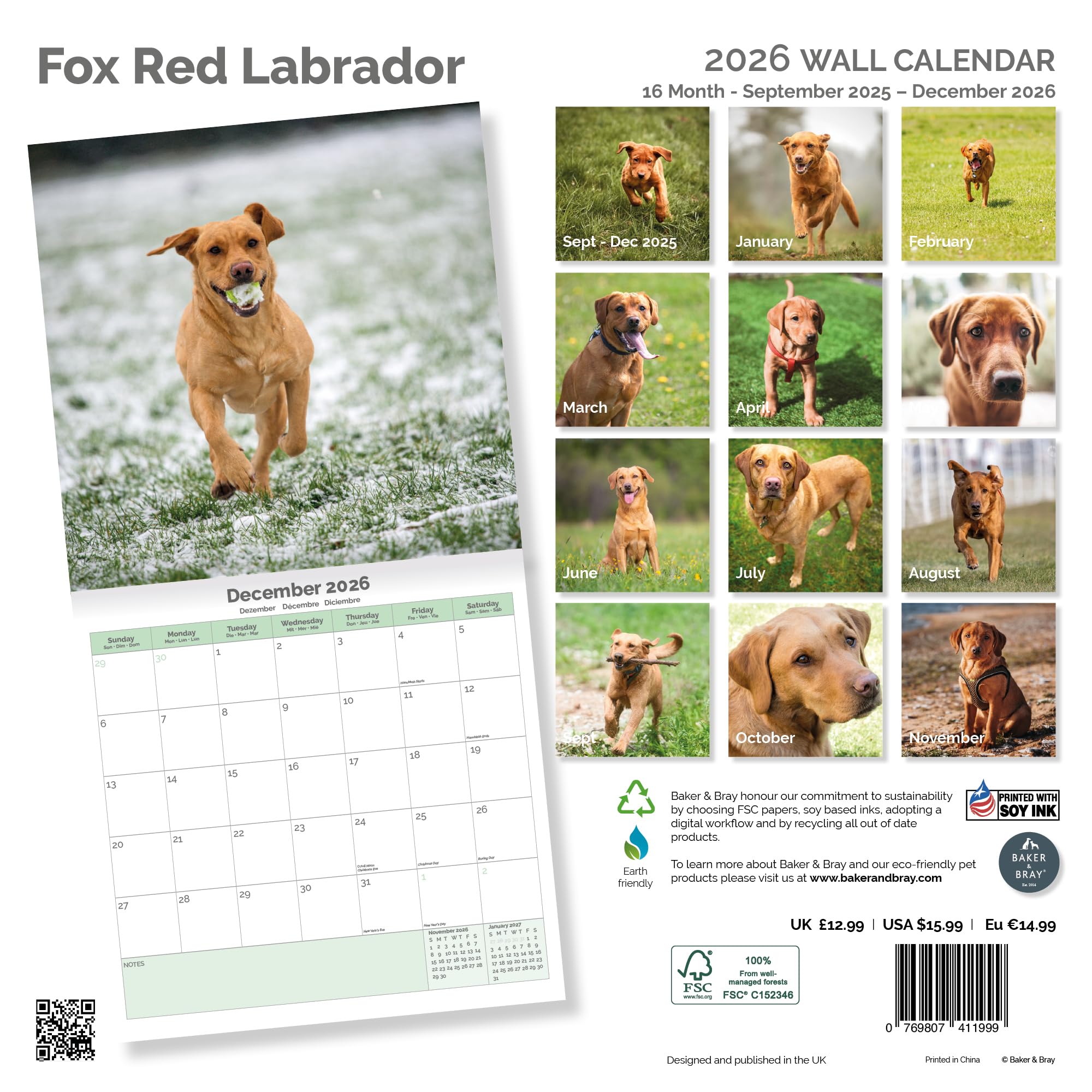 Fox Red Labrador Calendar 2026