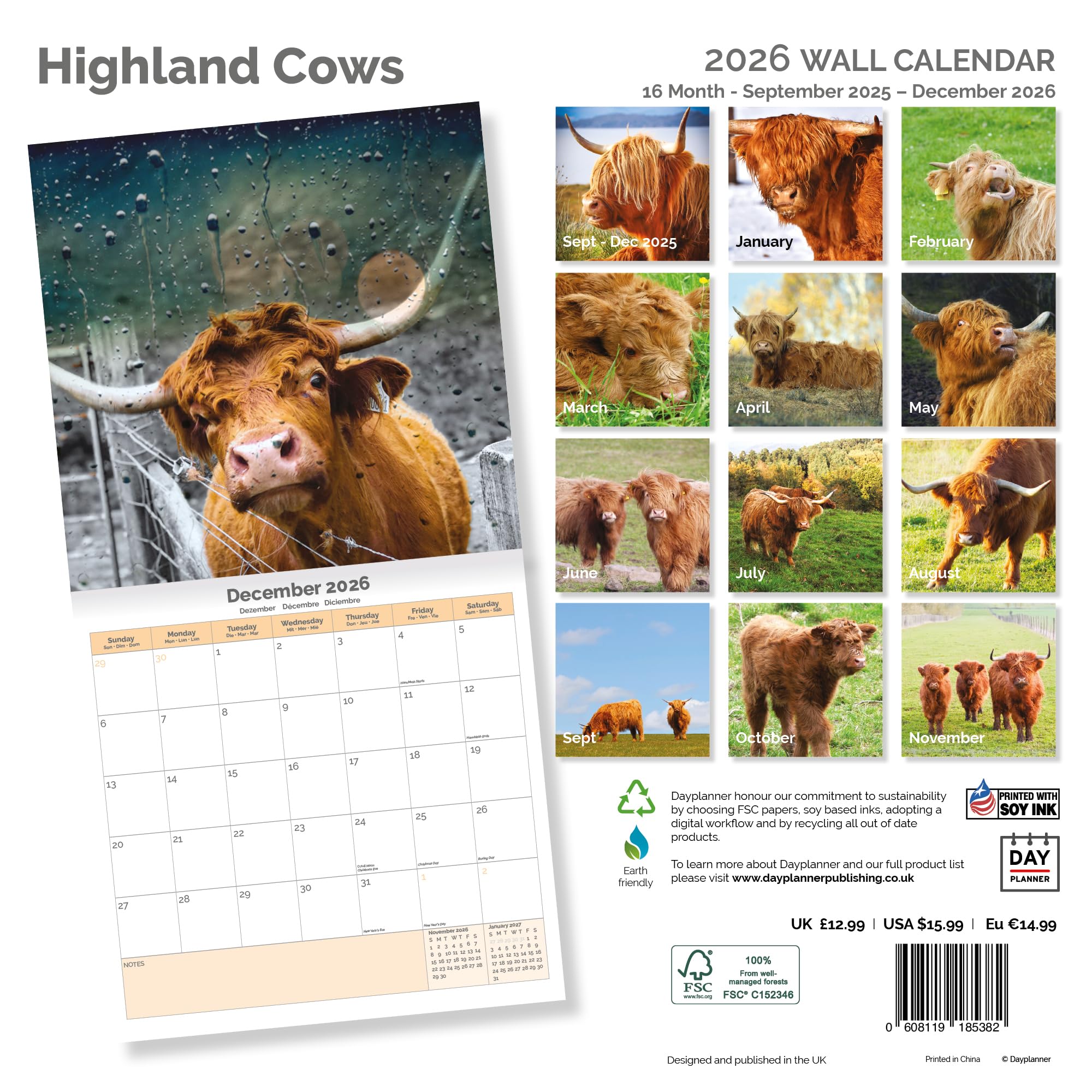 Highland Cows Calendar 2026