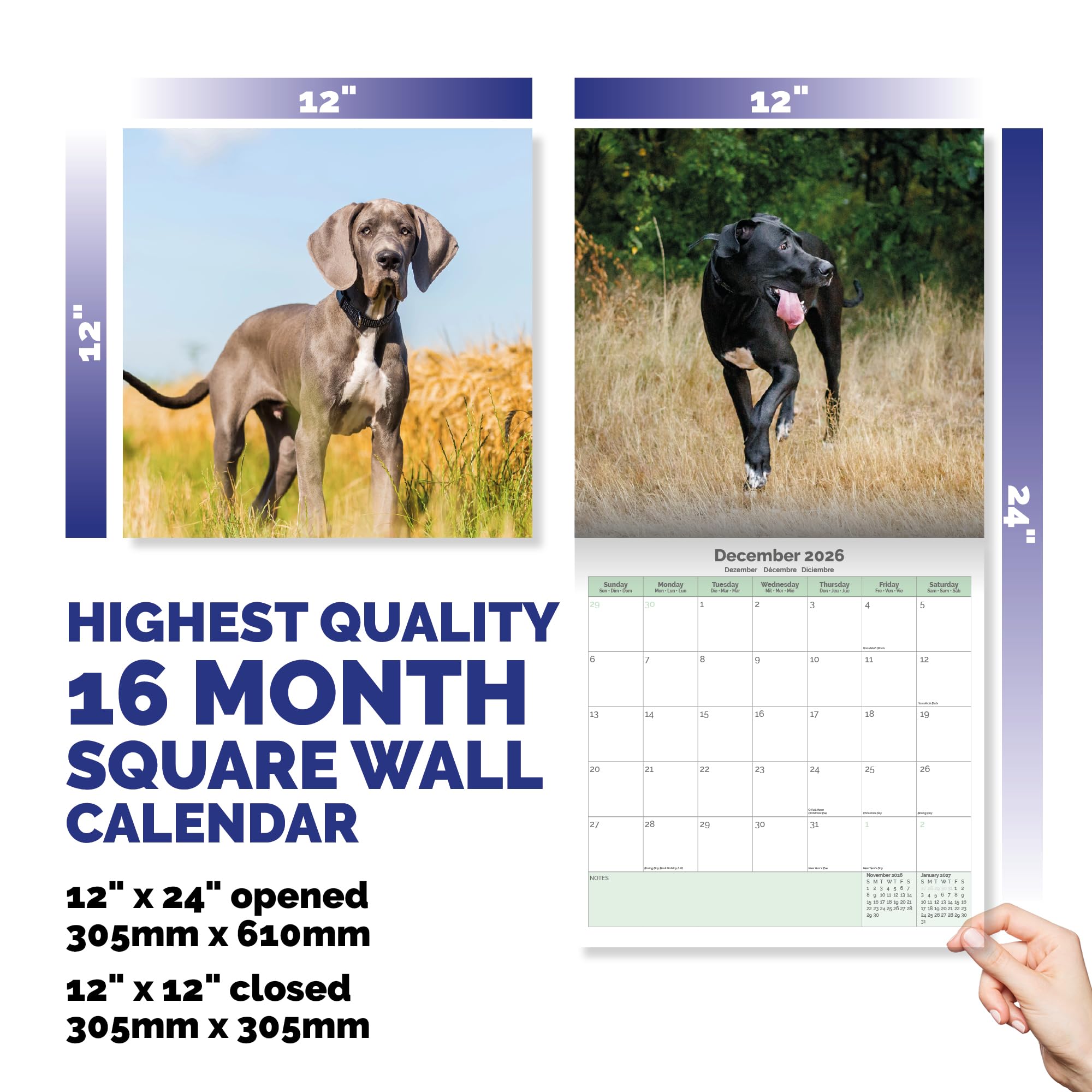 Great Dane Calendar 2026
