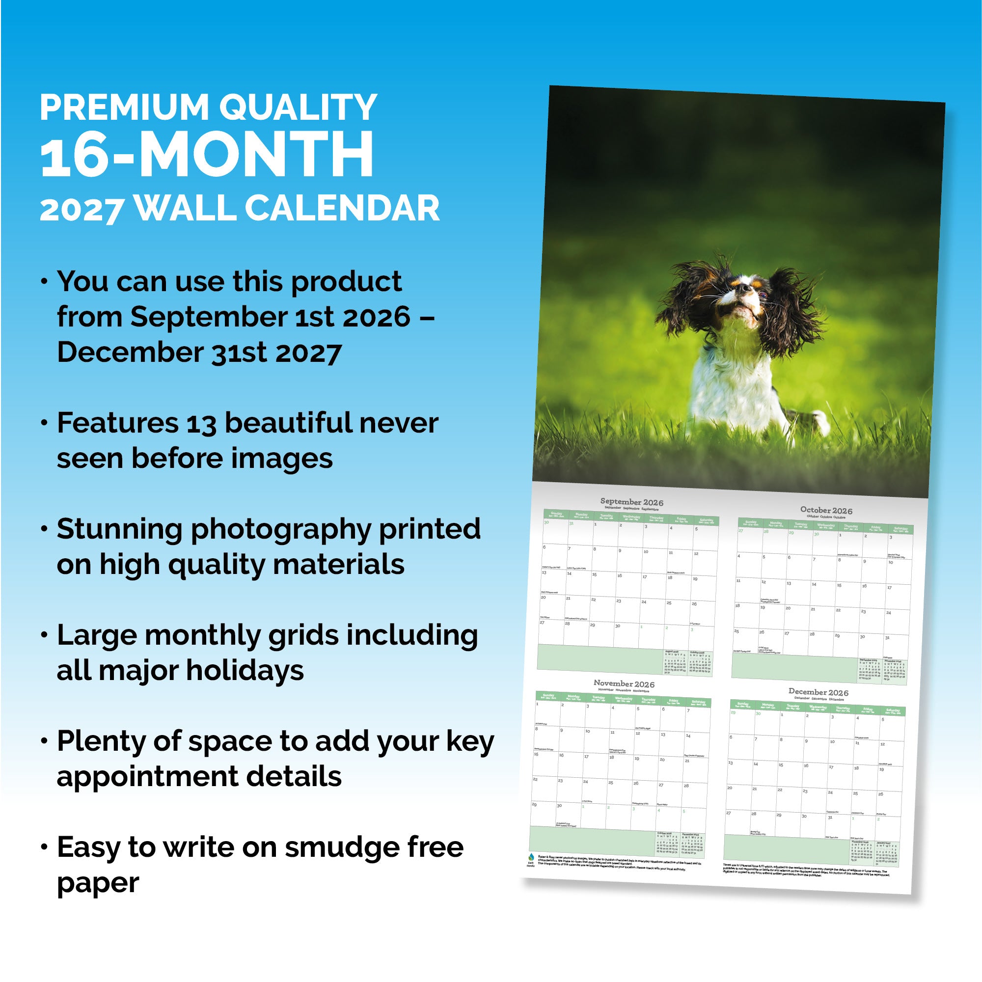 Cavalier King Charles Calendar 2026