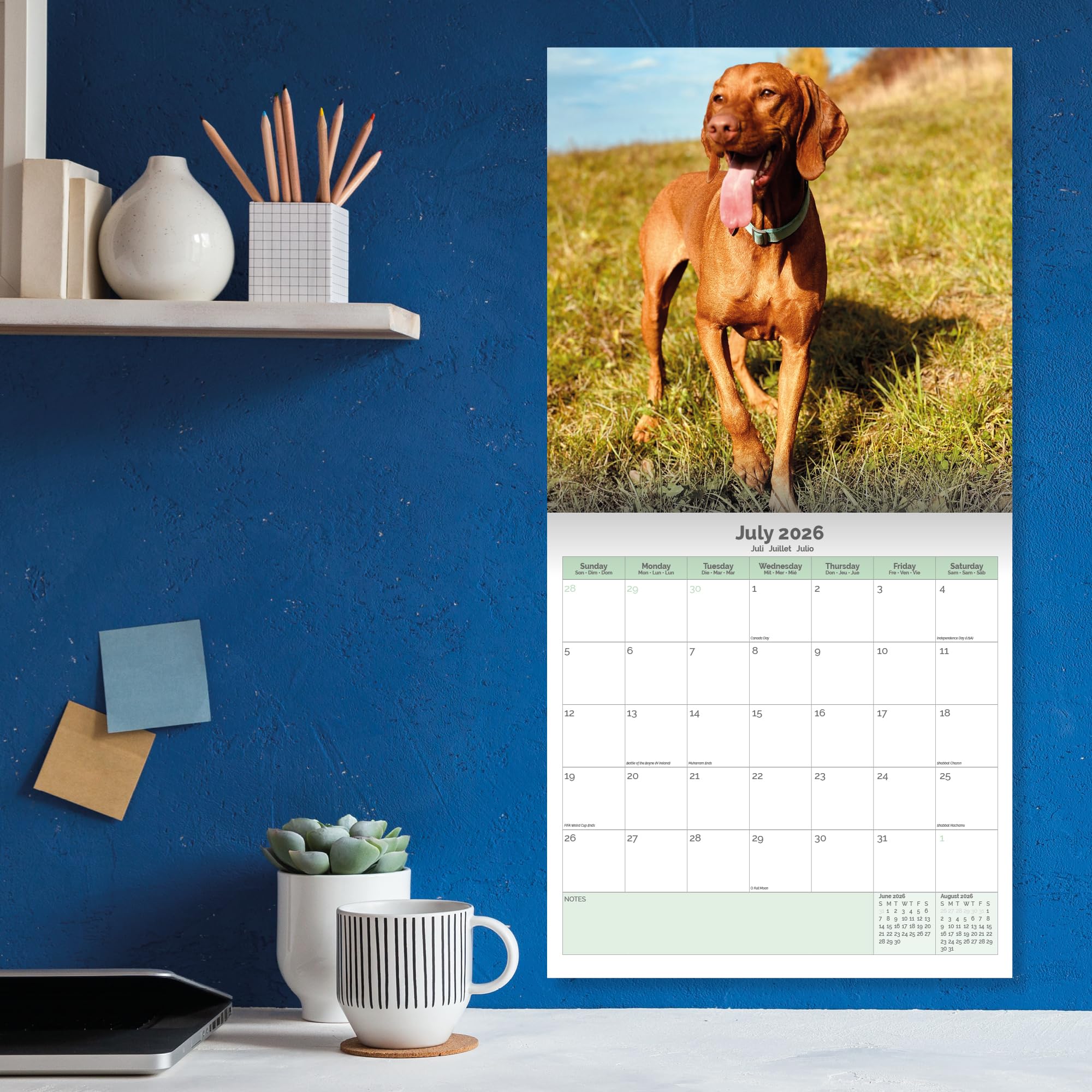 Vizsla Calendar 2026