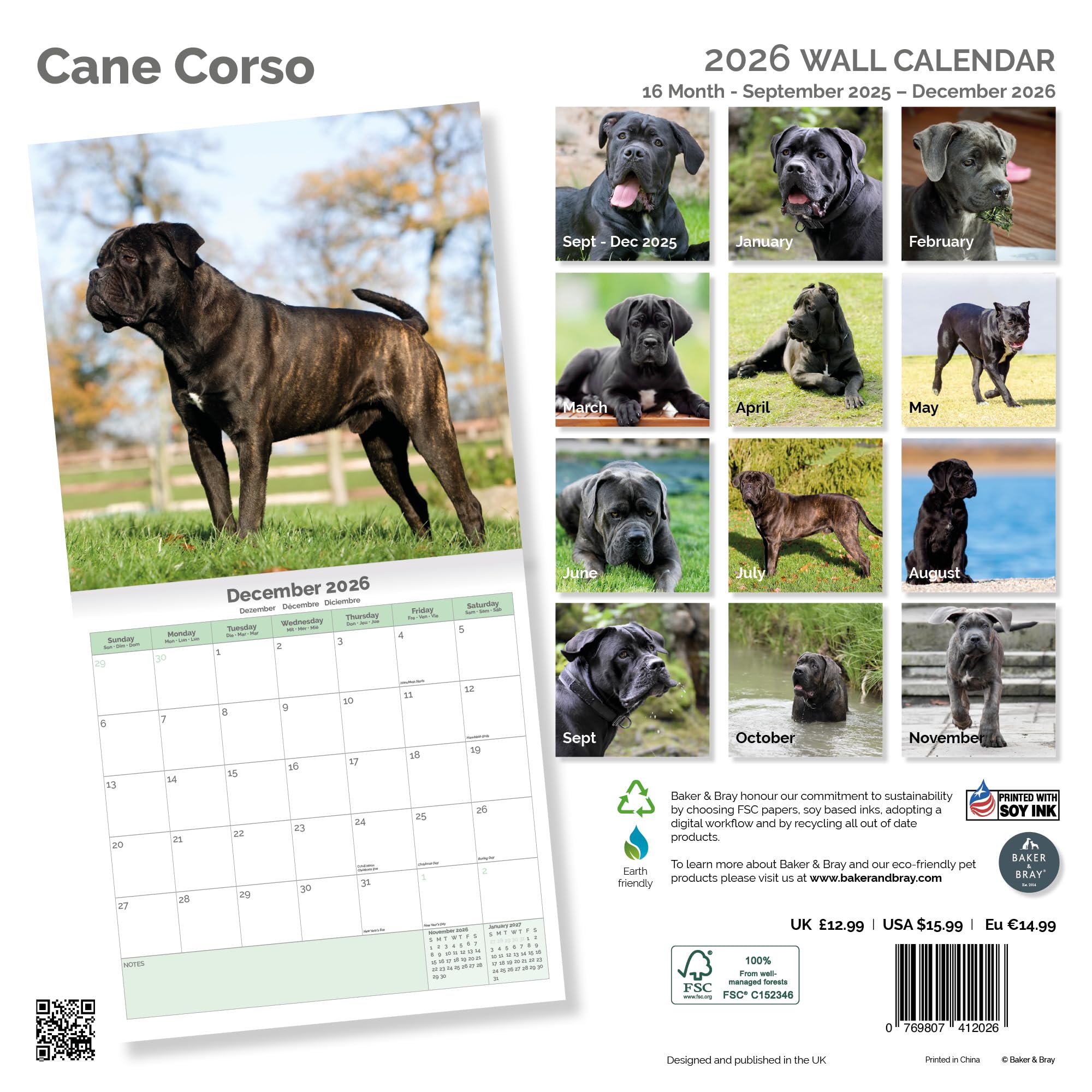 Cane Corso Calendar 2026