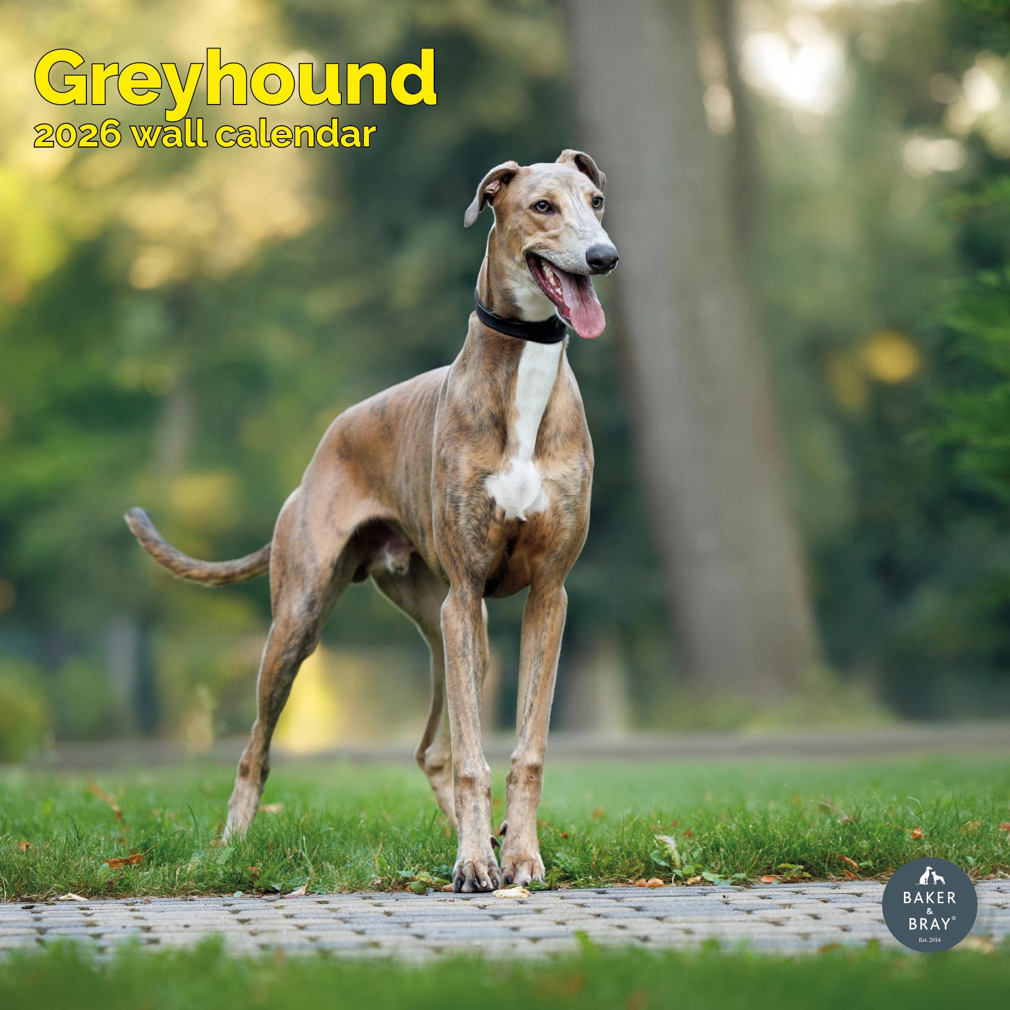 Greyhound Calendar 2026