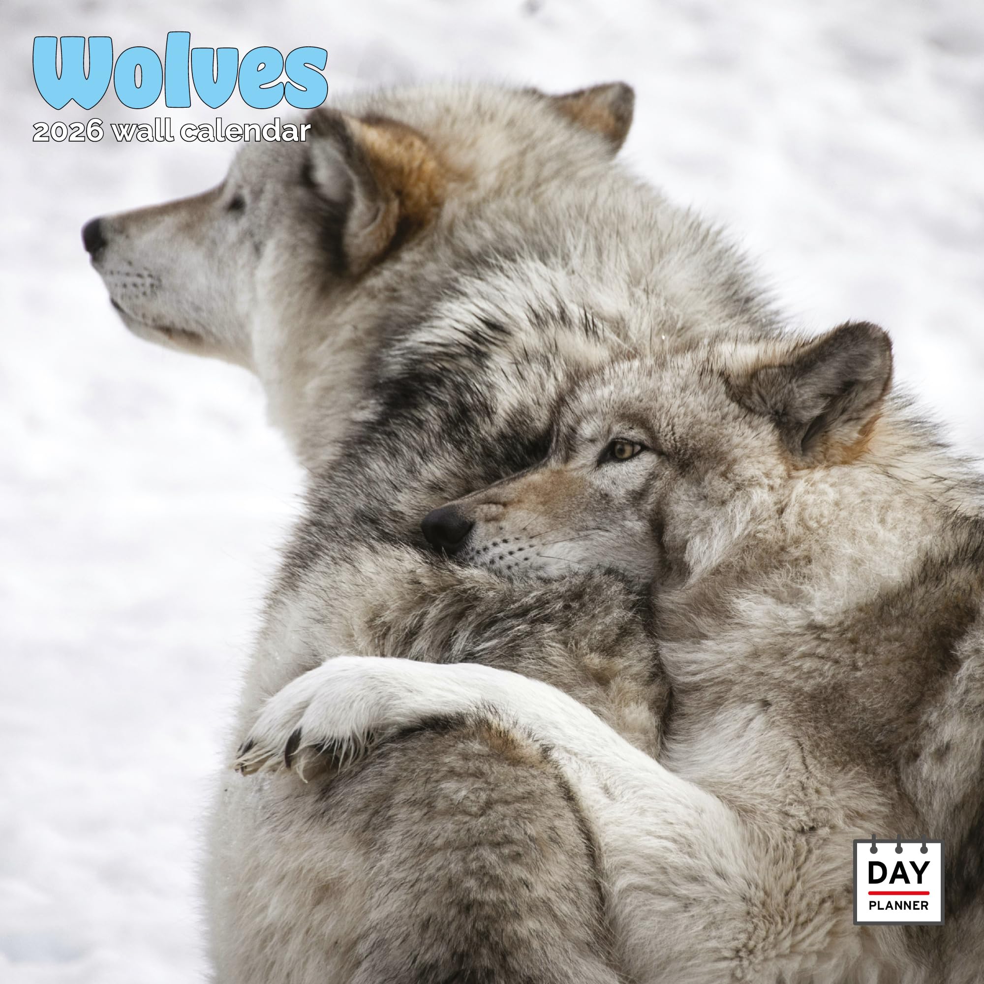 Wolves Calendar 2026
