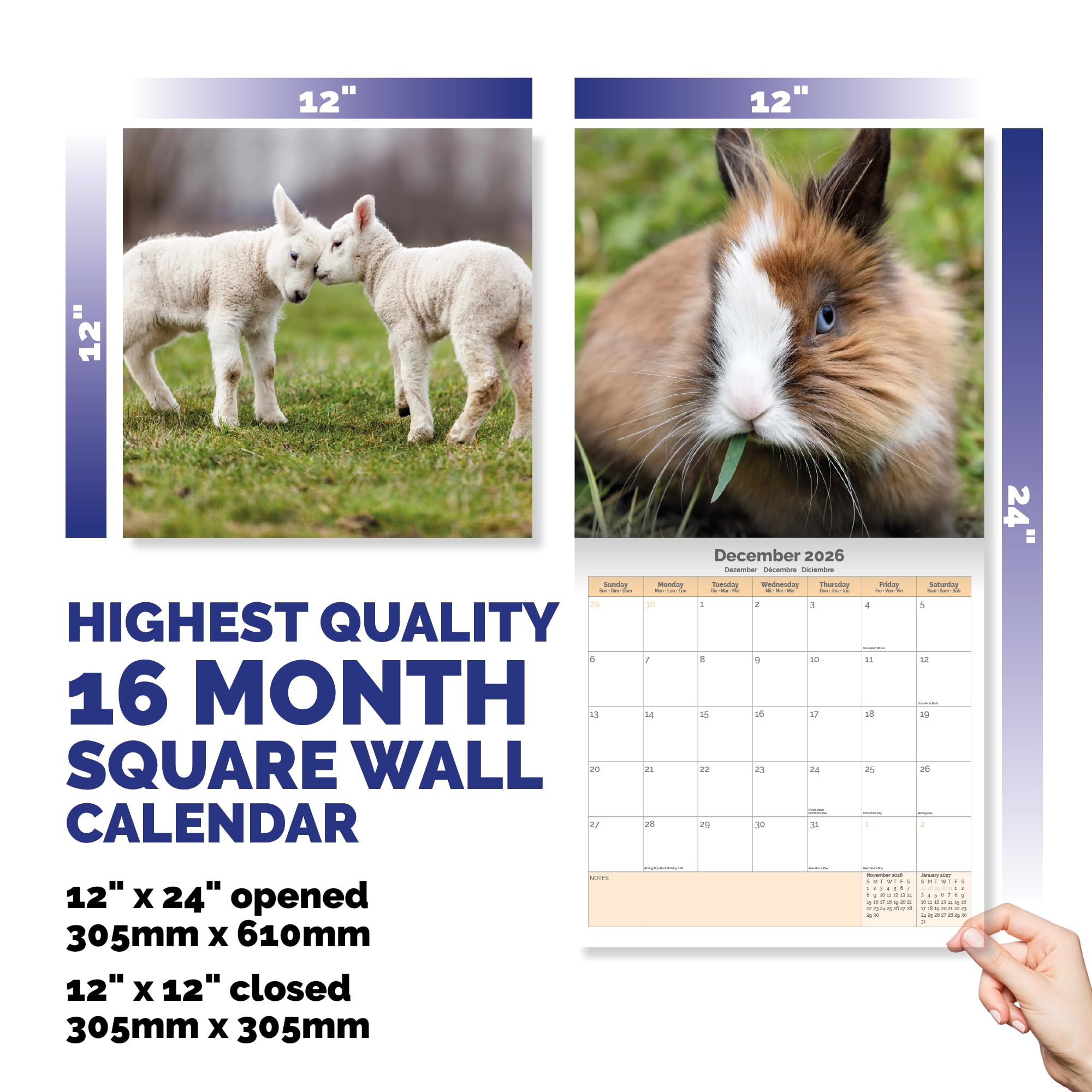 Baby Animals Calendar 2026