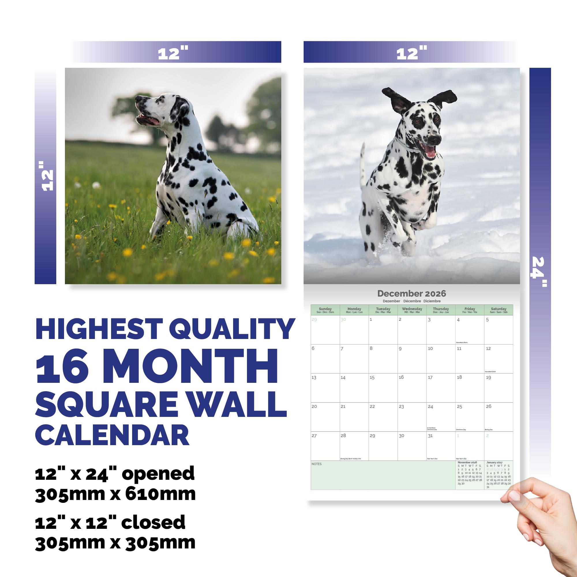 Dalmatian Calendar 2026