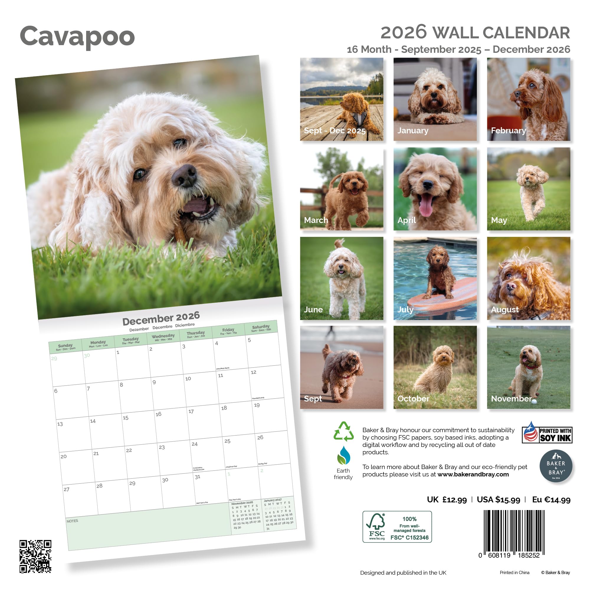 Cavapoo Calendar 2026