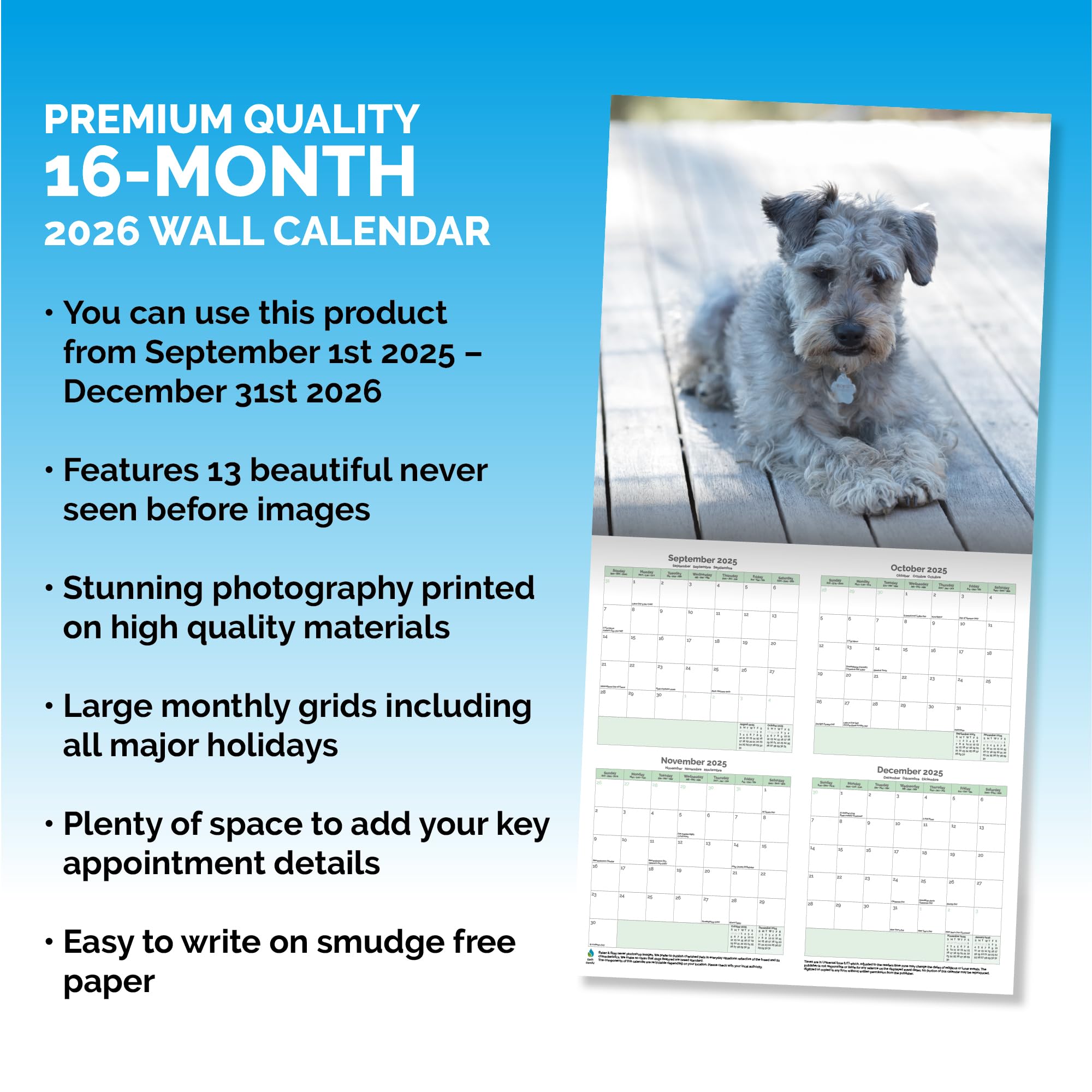 Miniature Schnauzer Puppies Calendar 2026