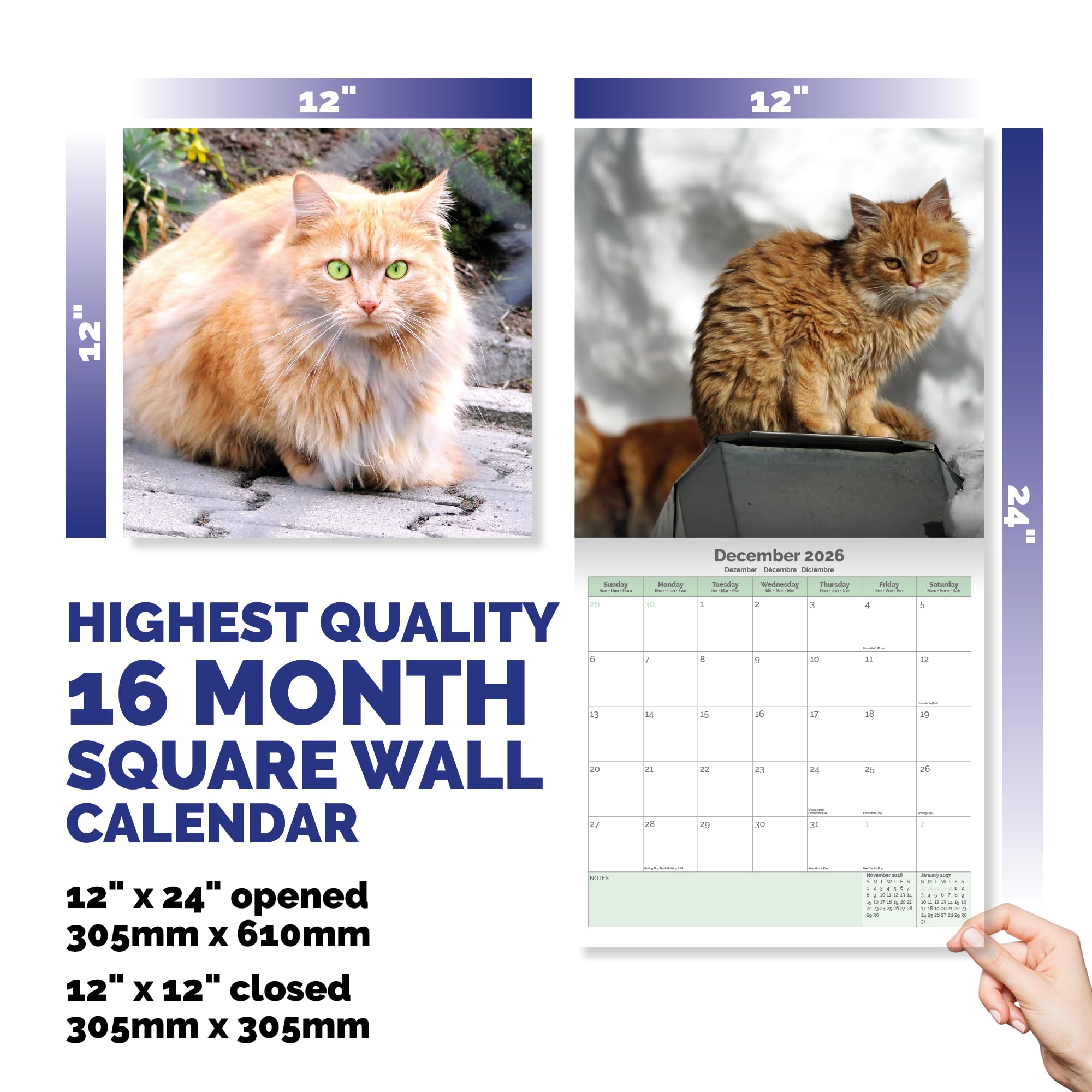 Ginger Cats Calendar 2026