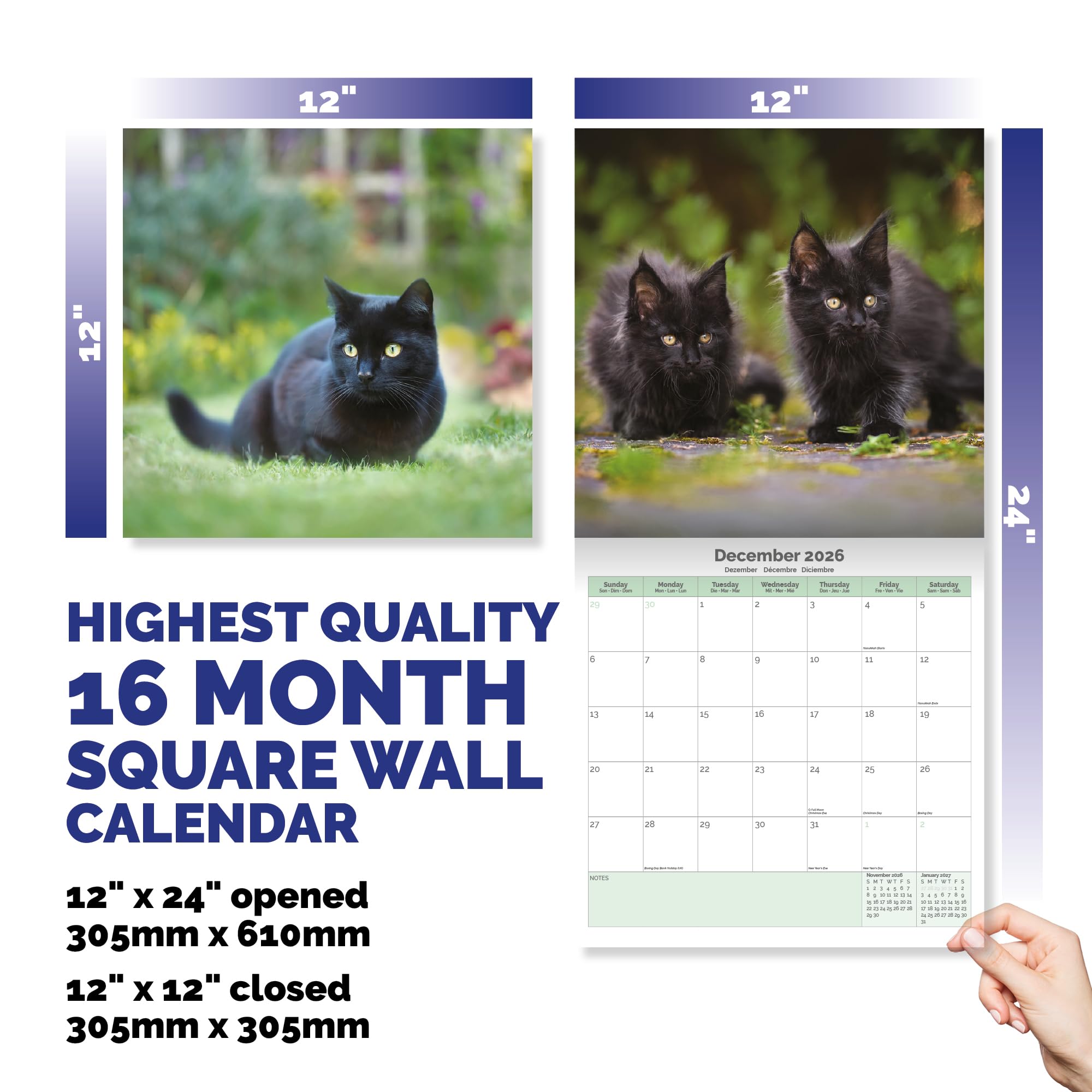Black Cat Kittens Calendar 2026