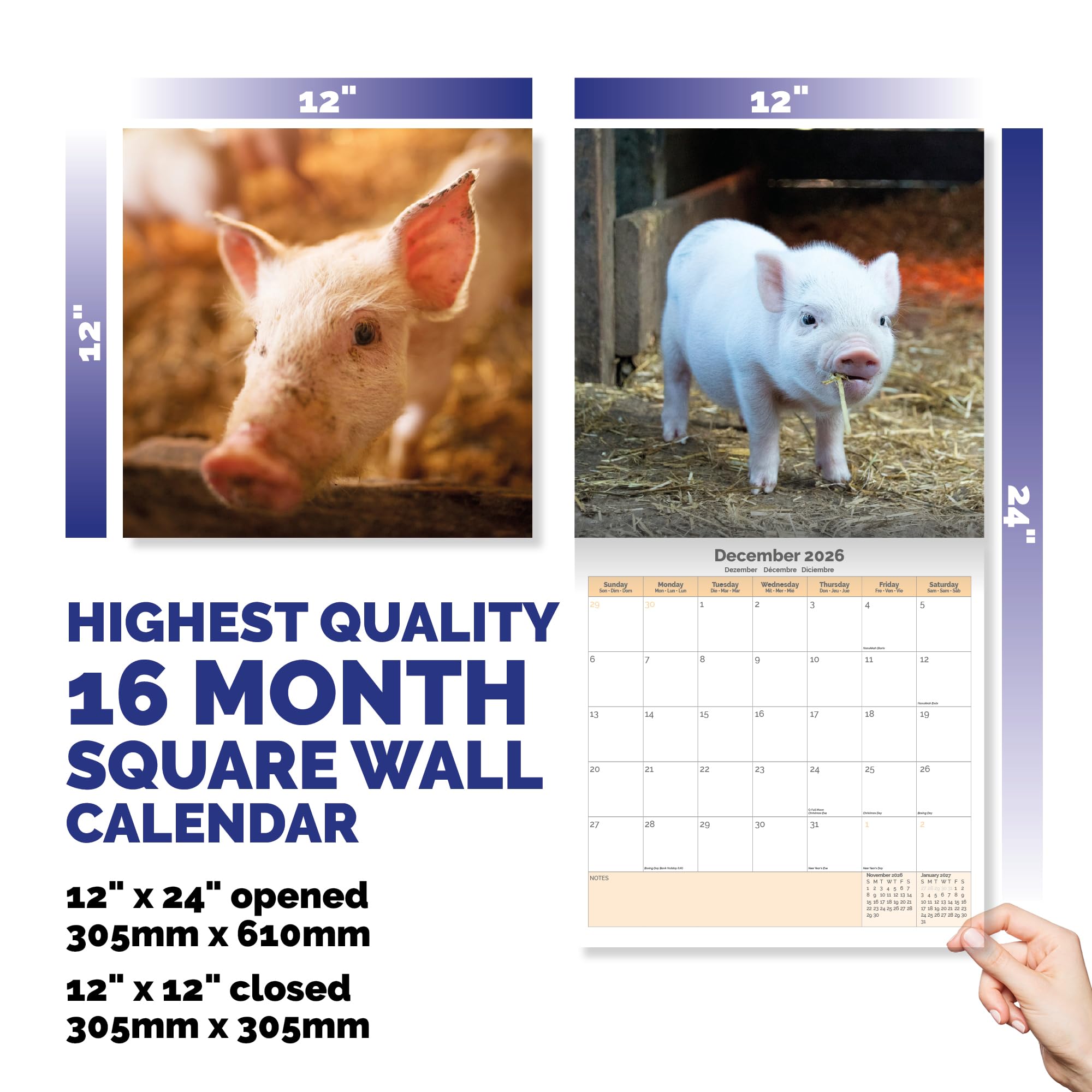 Pigs Calendar 2026