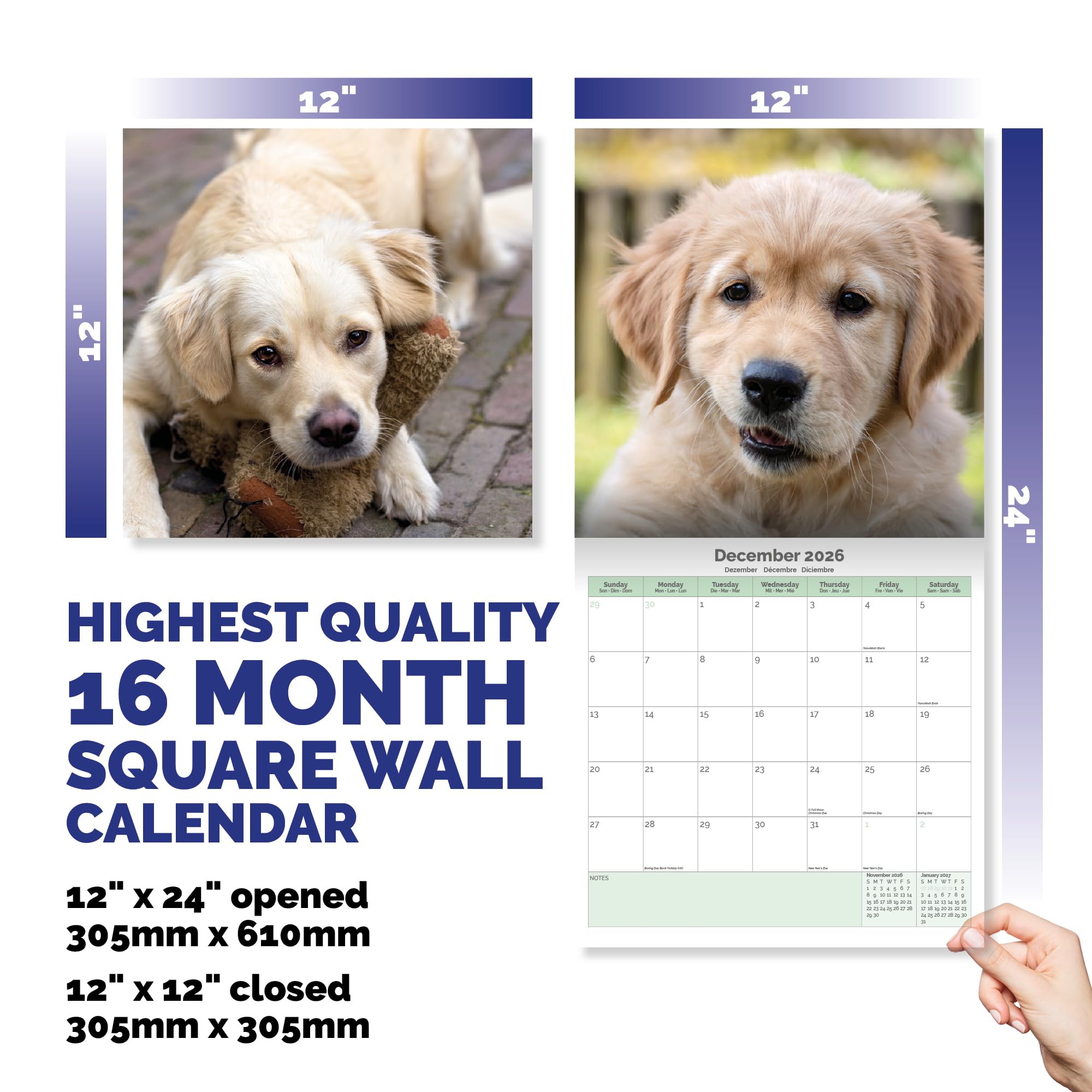 Golden Retriever Puppies Calendar 2026