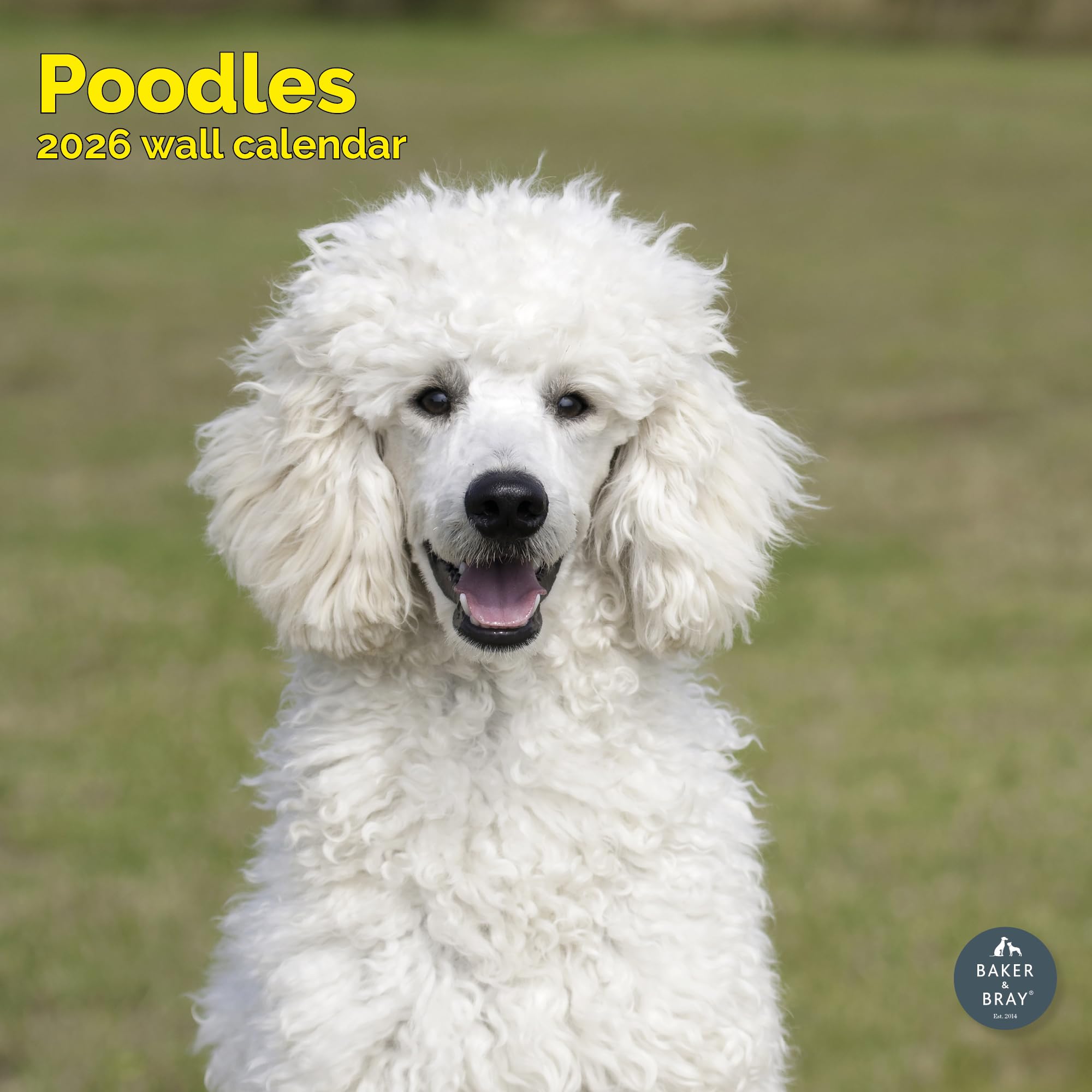 Poodle Calendar 2026