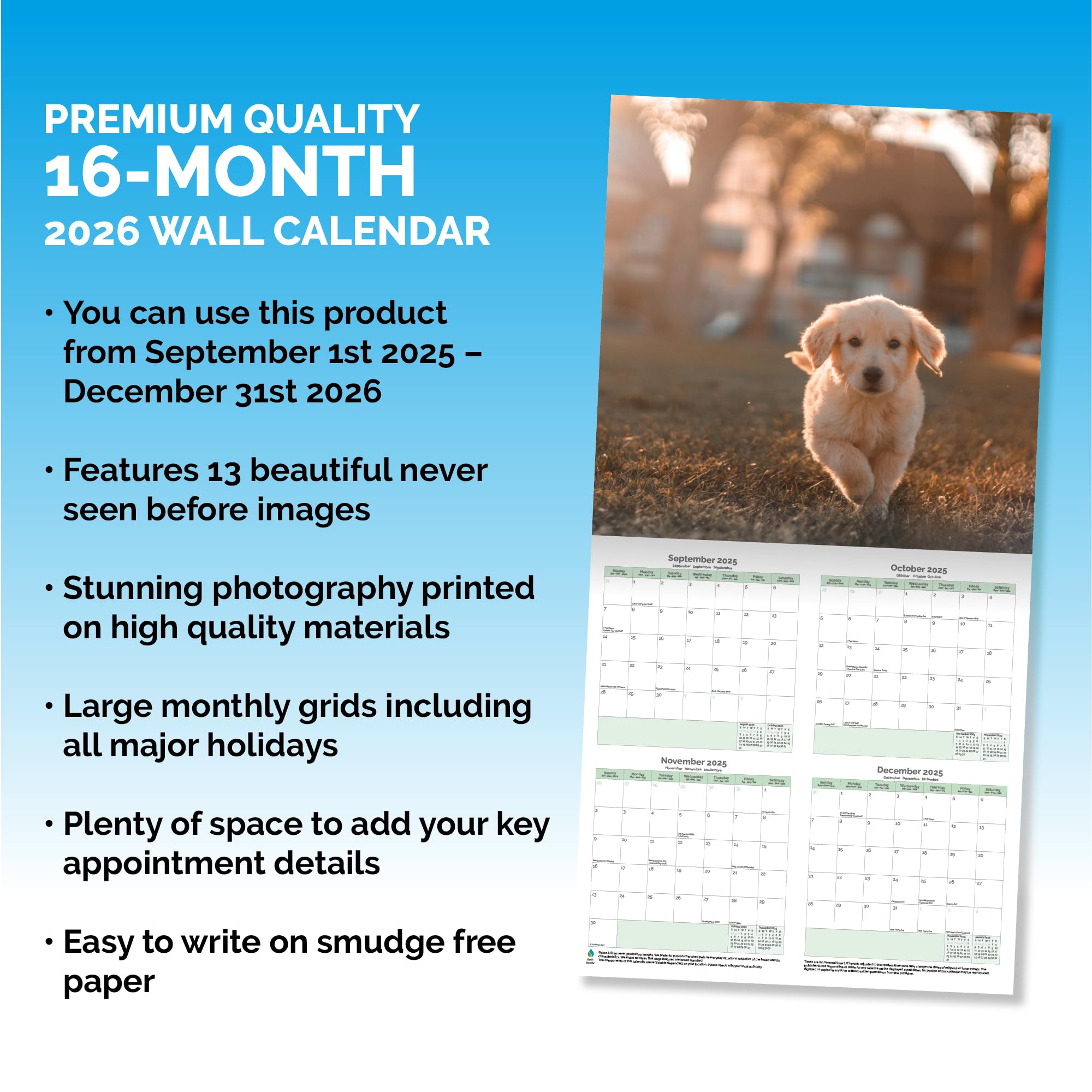 Golden Retriever Calendar 2026