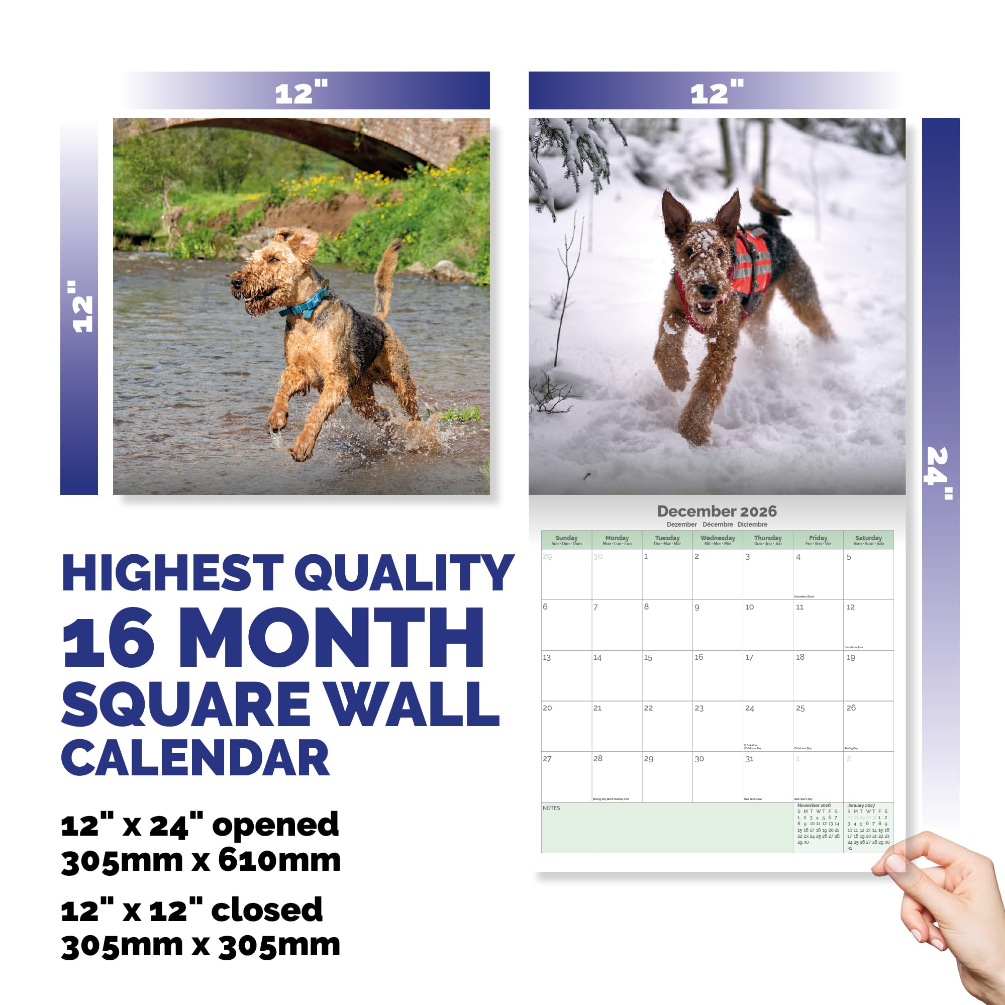 Airedale Terrier Calendar 2026