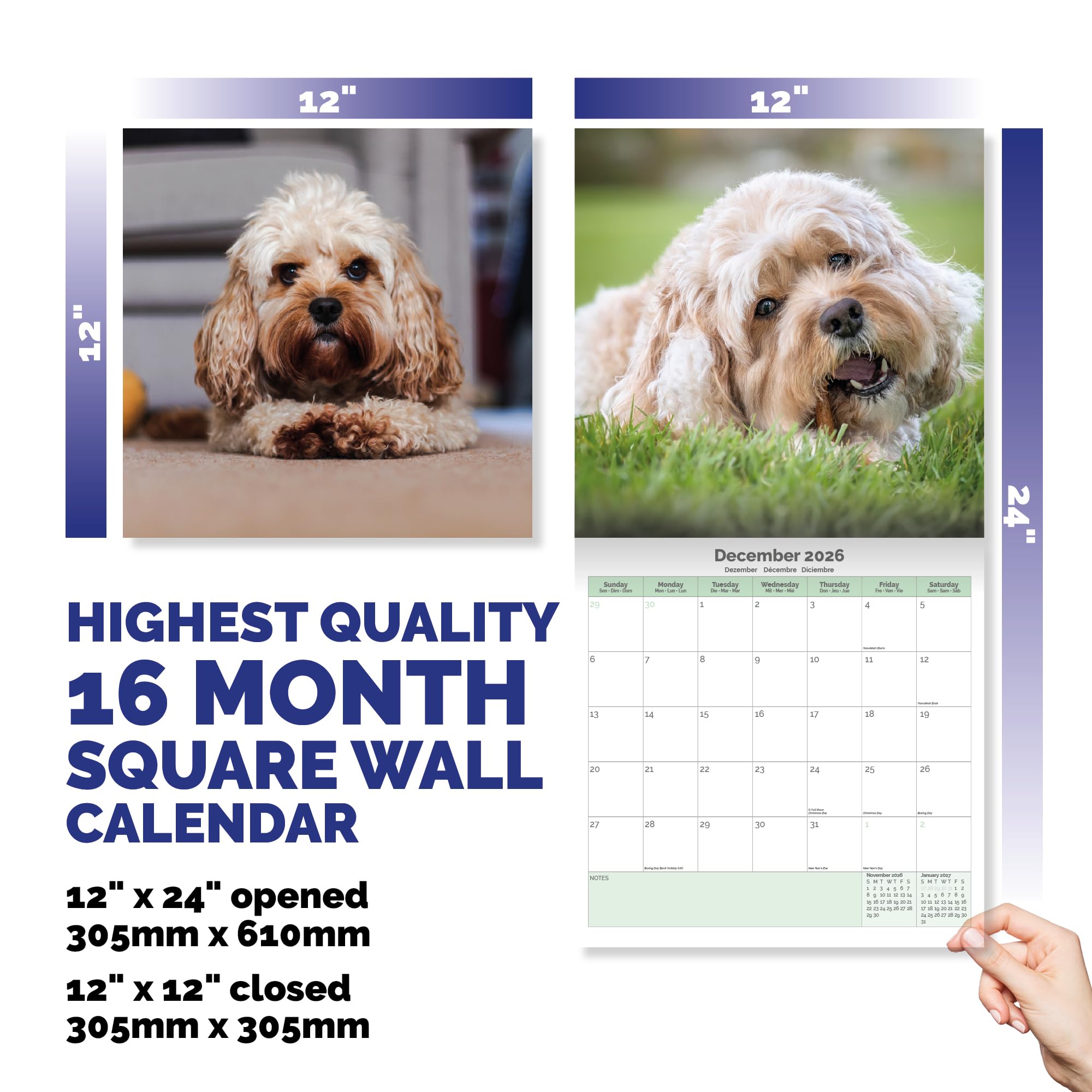 Cavapoo Calendar 2026