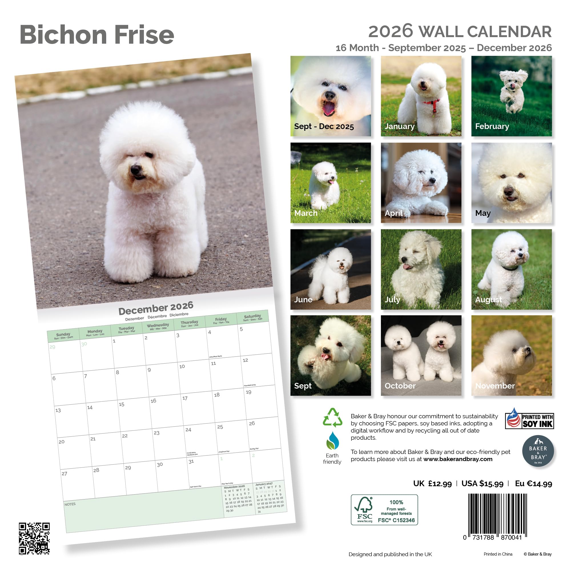 Bichon Frise Calendar 2026